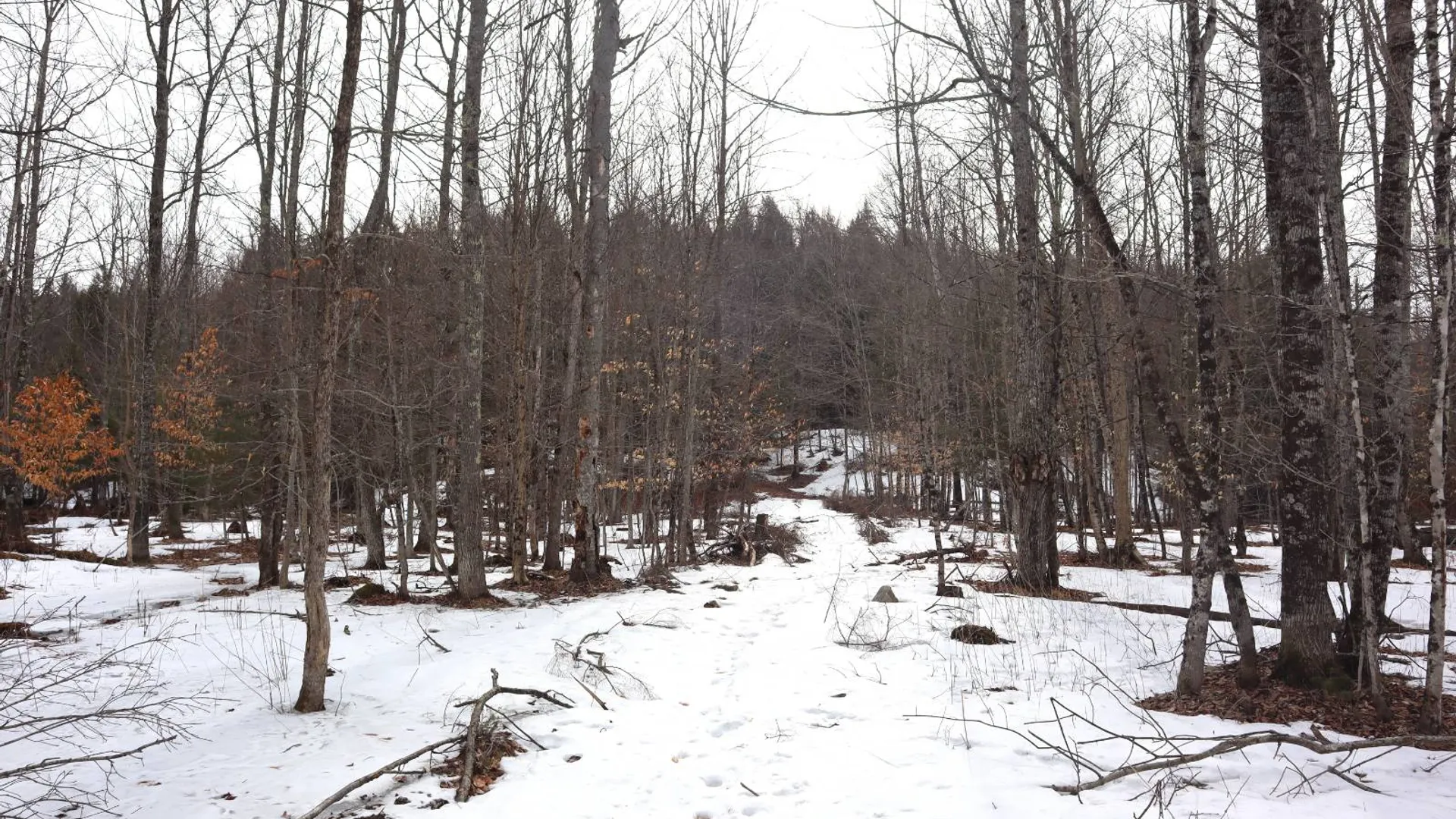 Property at 0 Crane Mountain Road, Johnsburg, NY 12843 70