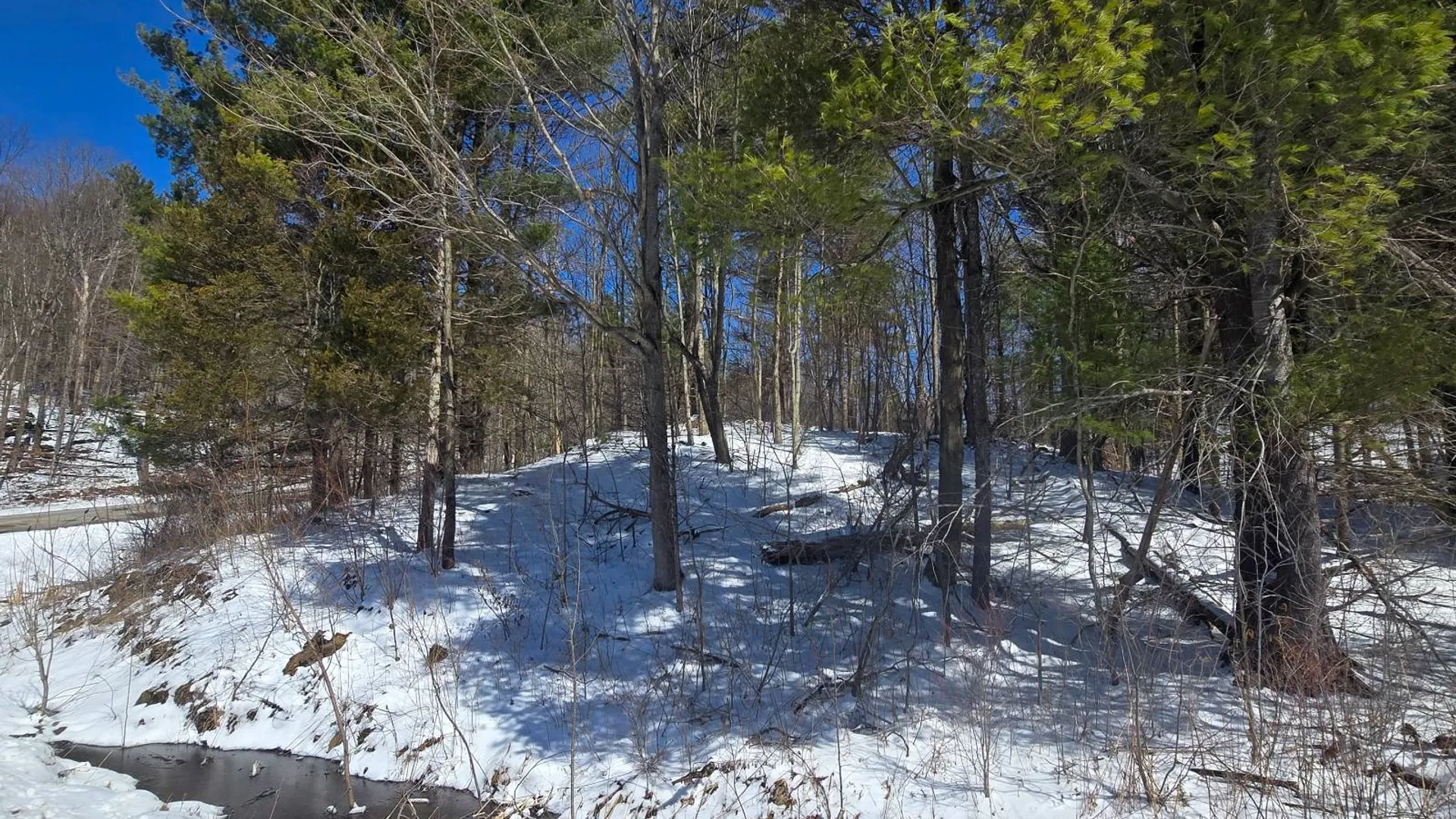 Property at 00 Williams Rd, Gouverneur, NY 13642 11