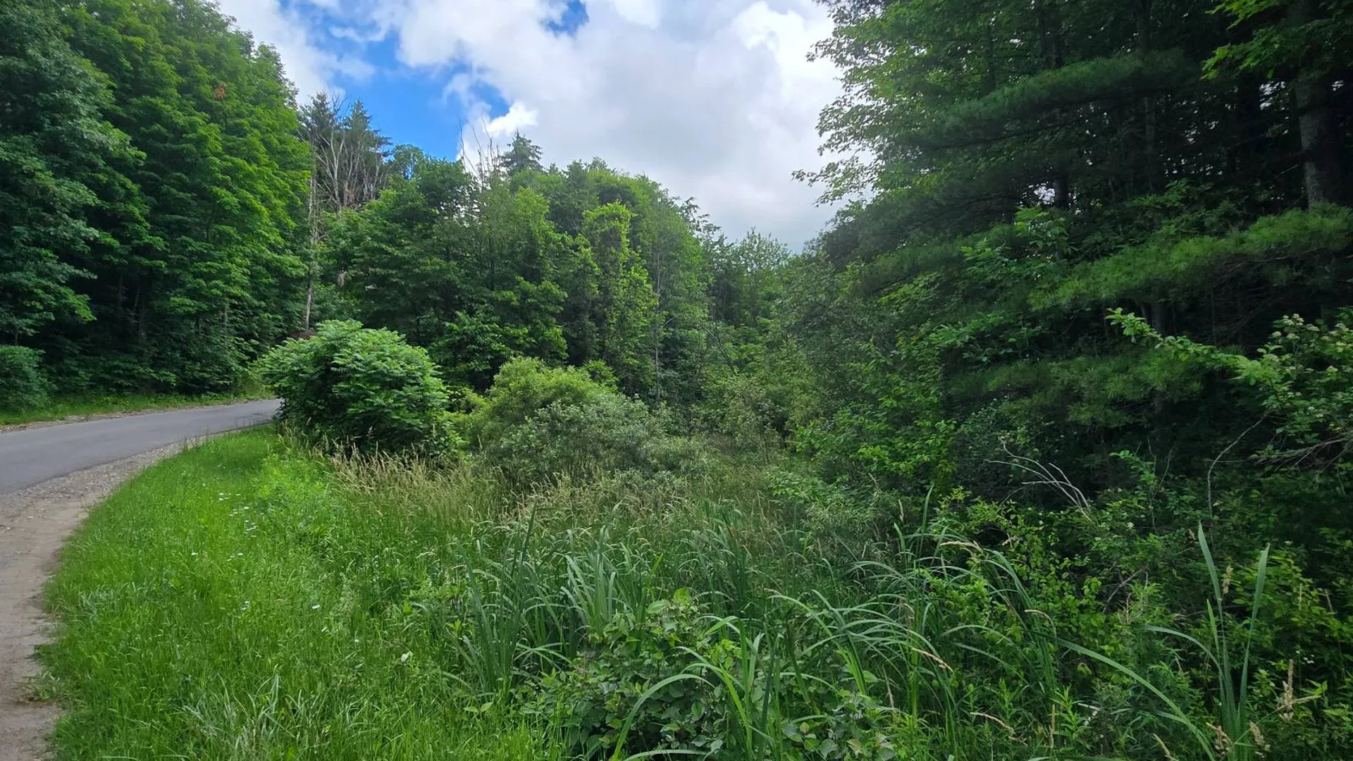 Property at 00 Williams Rd, Gouverneur, NY 13642 2