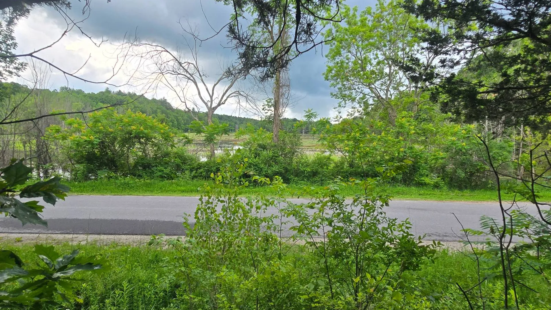Property at 00 Williams Rd, Gouverneur, NY 13642 3