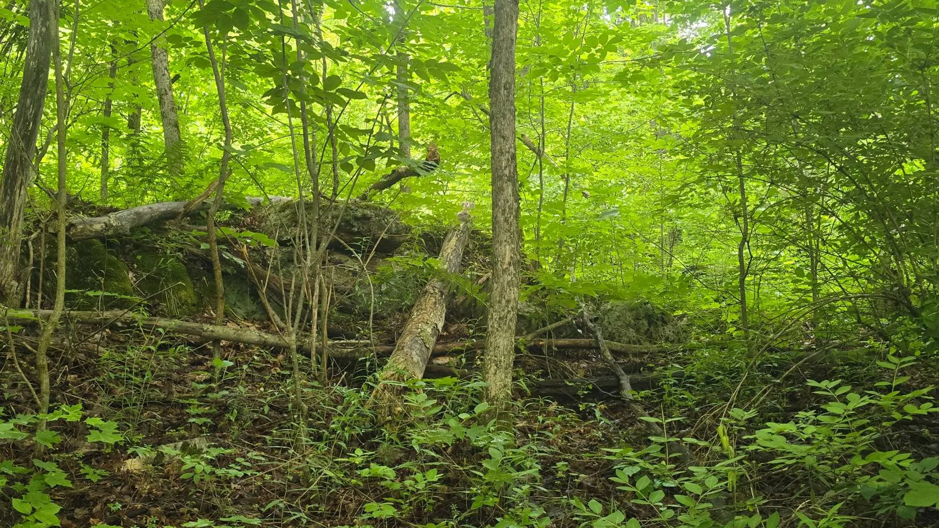 Property at 00 Williams Rd, Gouverneur, NY 13642 5
