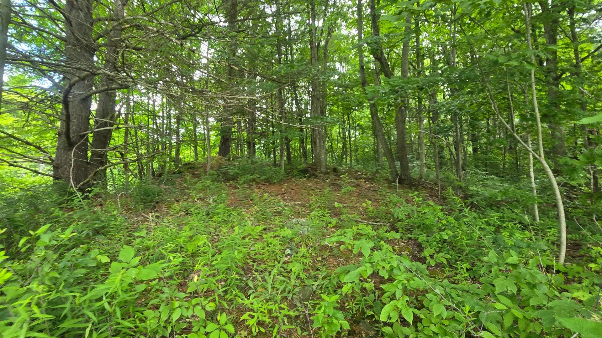 Property at 00 Williams Rd, Gouverneur, NY 13642 8