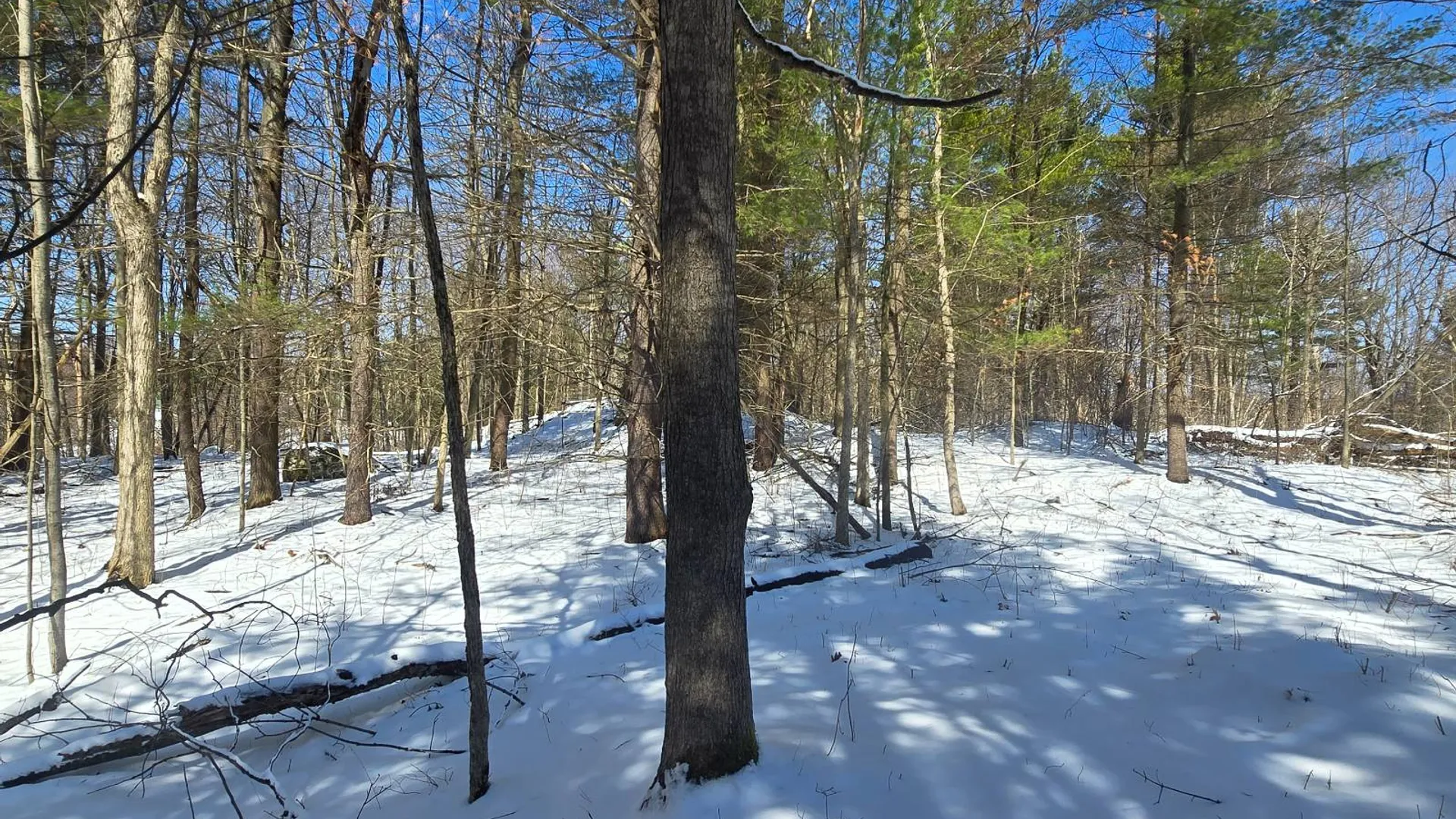 Property at 00 Williams Rd, Gouverneur, NY 13642 10