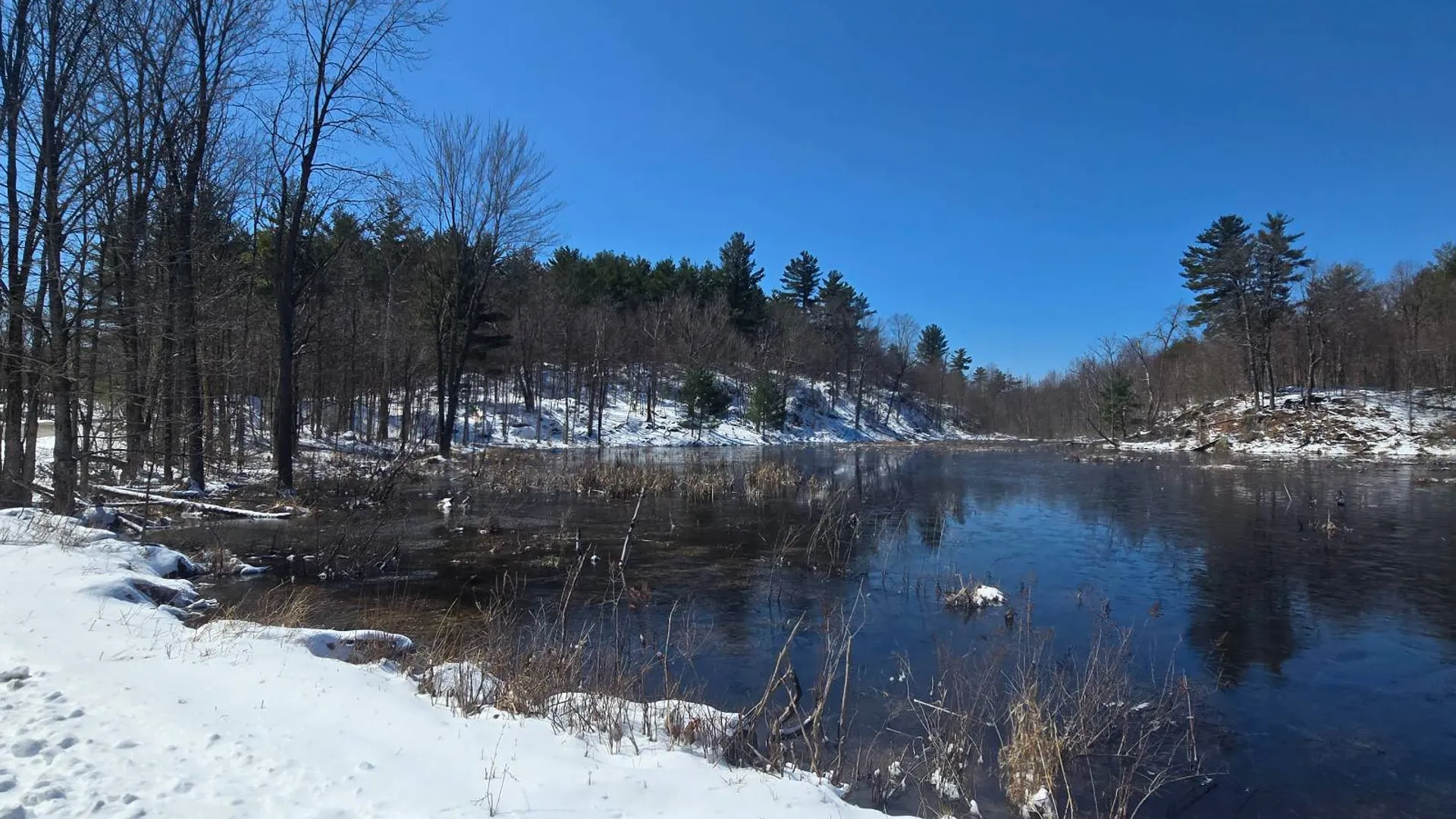 Property at 00 Williams Rd, Gouverneur, NY 13642 14