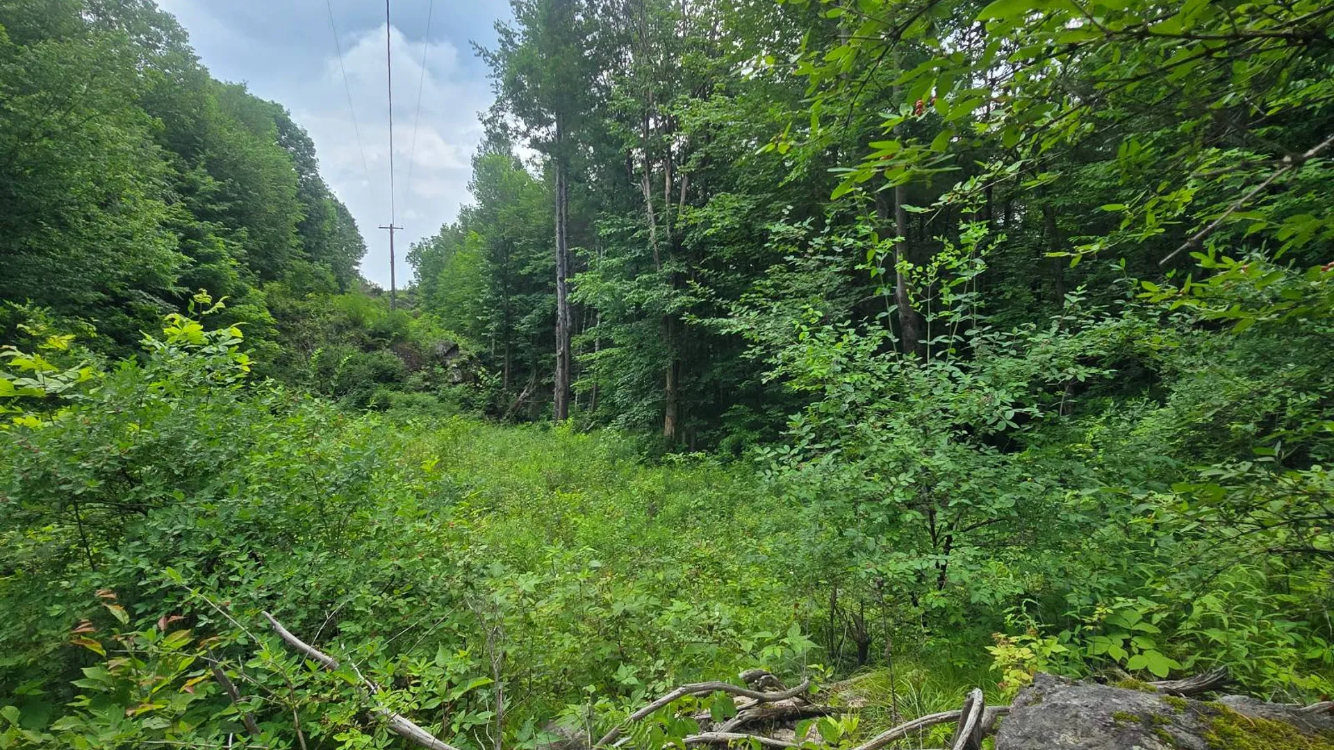 Property at 00 Williams Rd, Gouverneur, NY 13642 3
