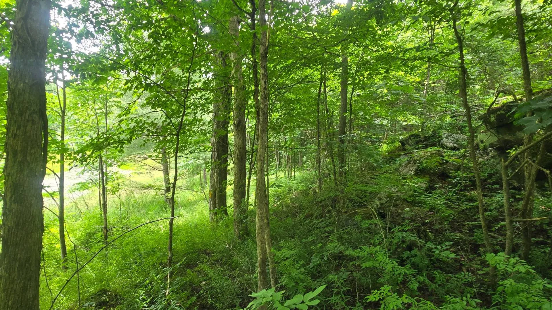 Property at 00 Williams Rd, Gouverneur, NY 13642 4