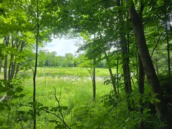 Property at 00 Williams Rd, Gouverneur, NY 13642