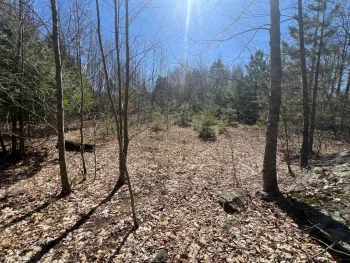 Property at 0 Route 23C, Jewett, NY 12485