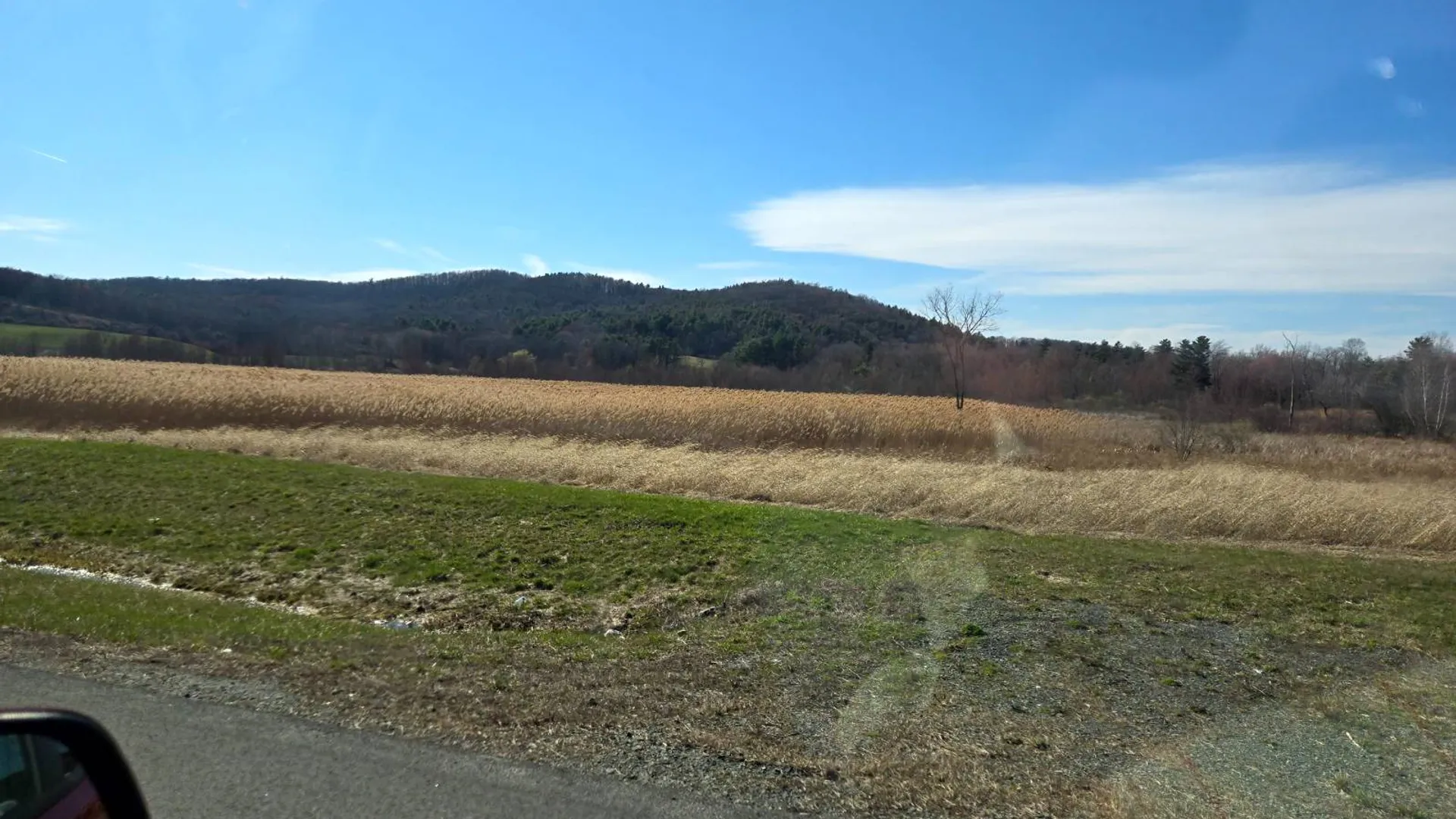 Property at 66 Terrace Drive, Brunswick, NY 12180 42