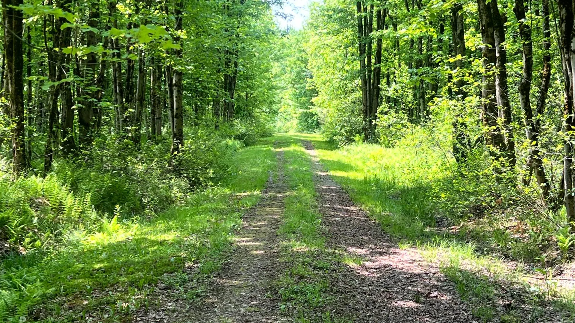 Property at 1.5 Poth Brook Lane, Williamstown, NY 13493 7