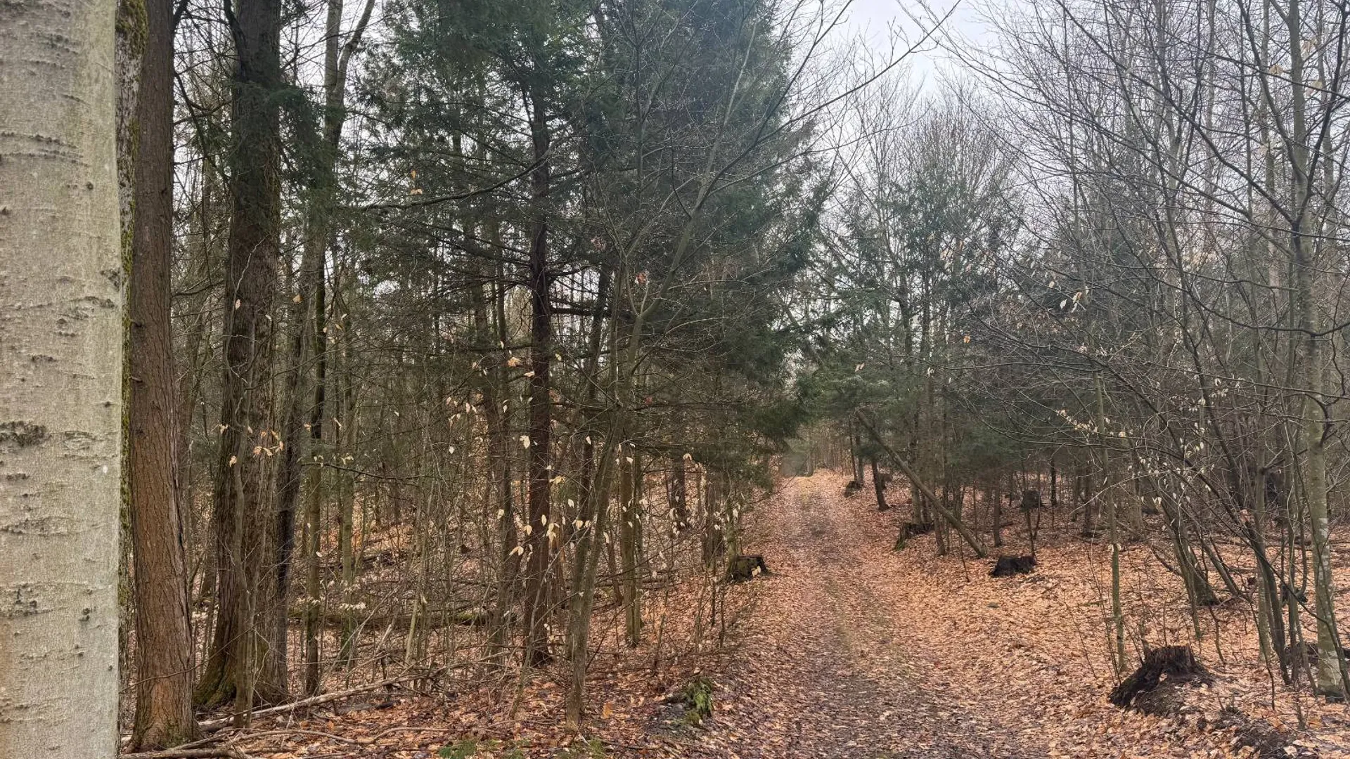 Property at 3650 State Route 69, Blossvale, NY 13471 19