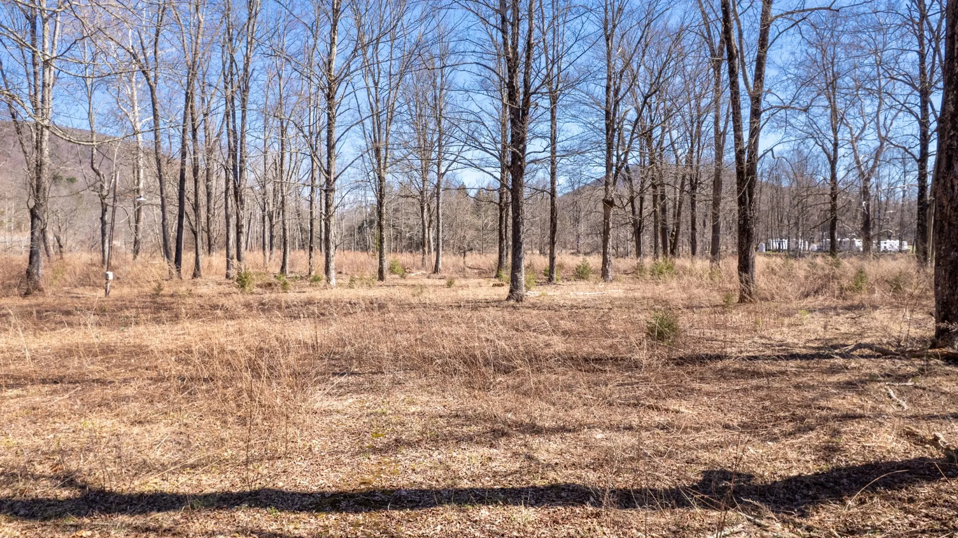 Property at 11390 State Hwy 30, Downsville, NY 13755 14