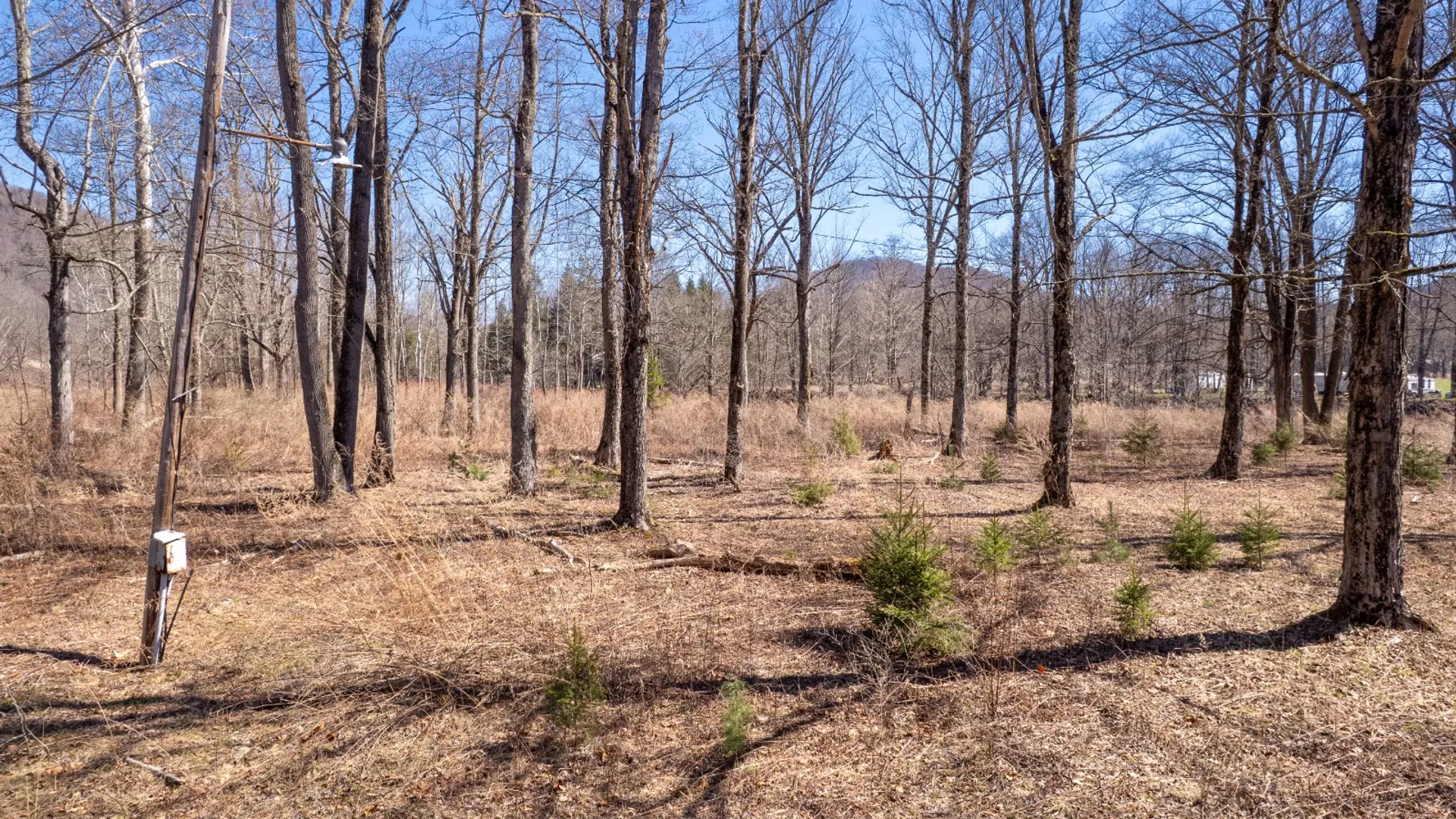 Property at 11390 State Hwy 30, Downsville, NY 13755 15