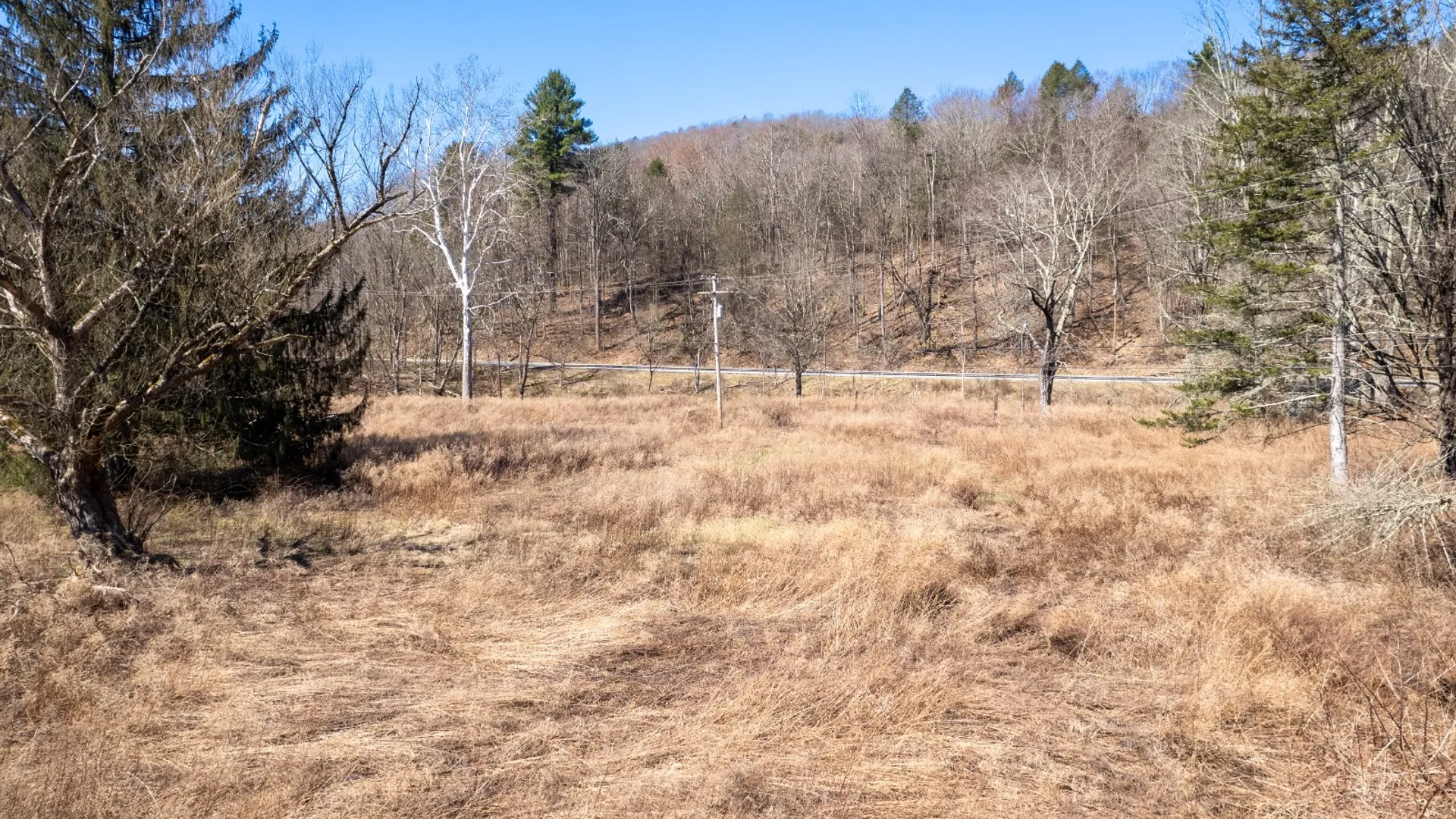 Property at 11390 State Hwy 30, Downsville, NY 13755 18