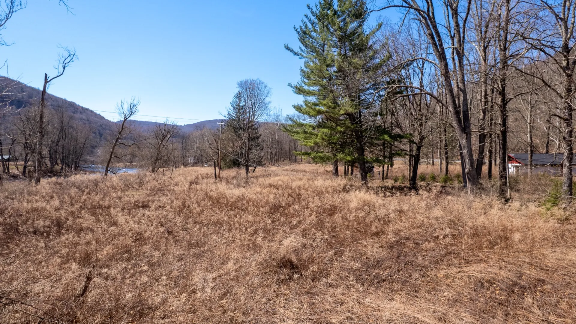 Property at 11390 State Hwy 30, Downsville, NY 13755 19