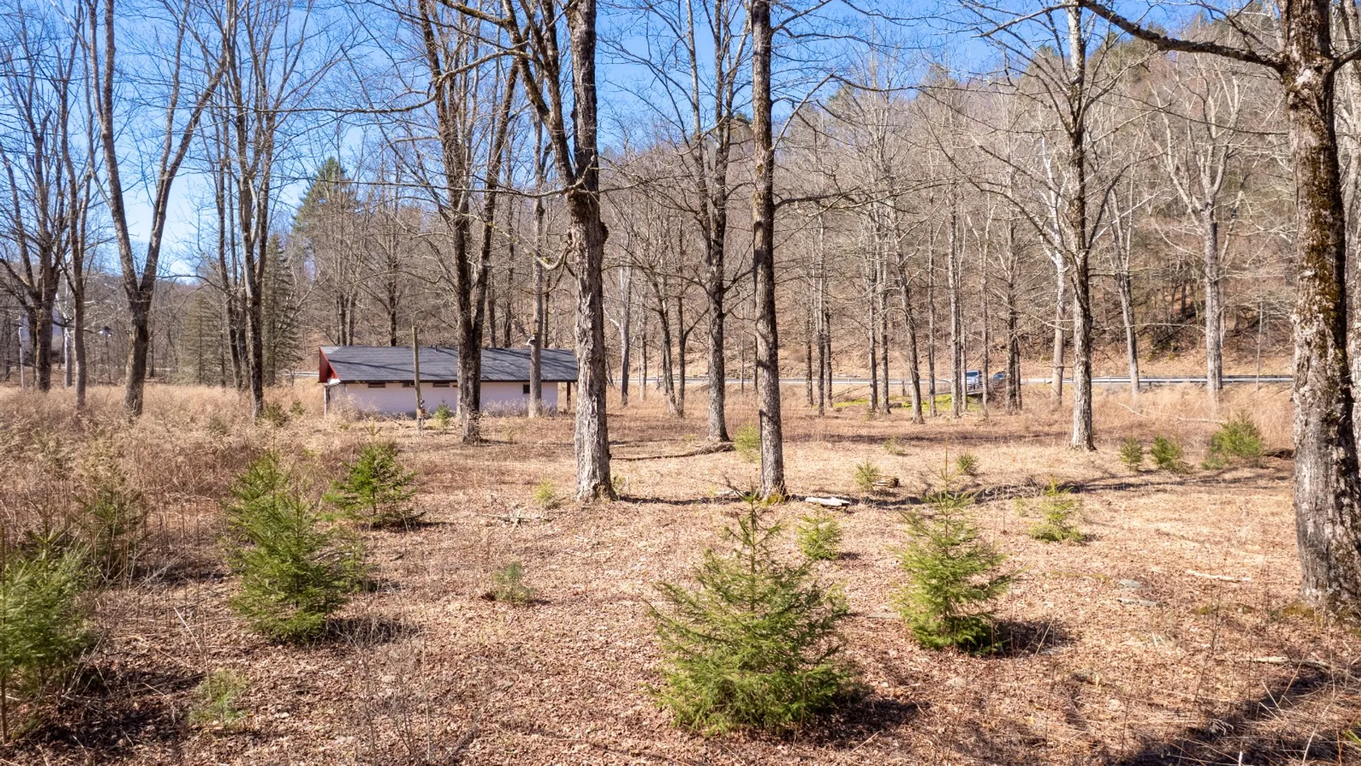 Property at 11390 State Hwy 30, Downsville, NY 13755 17