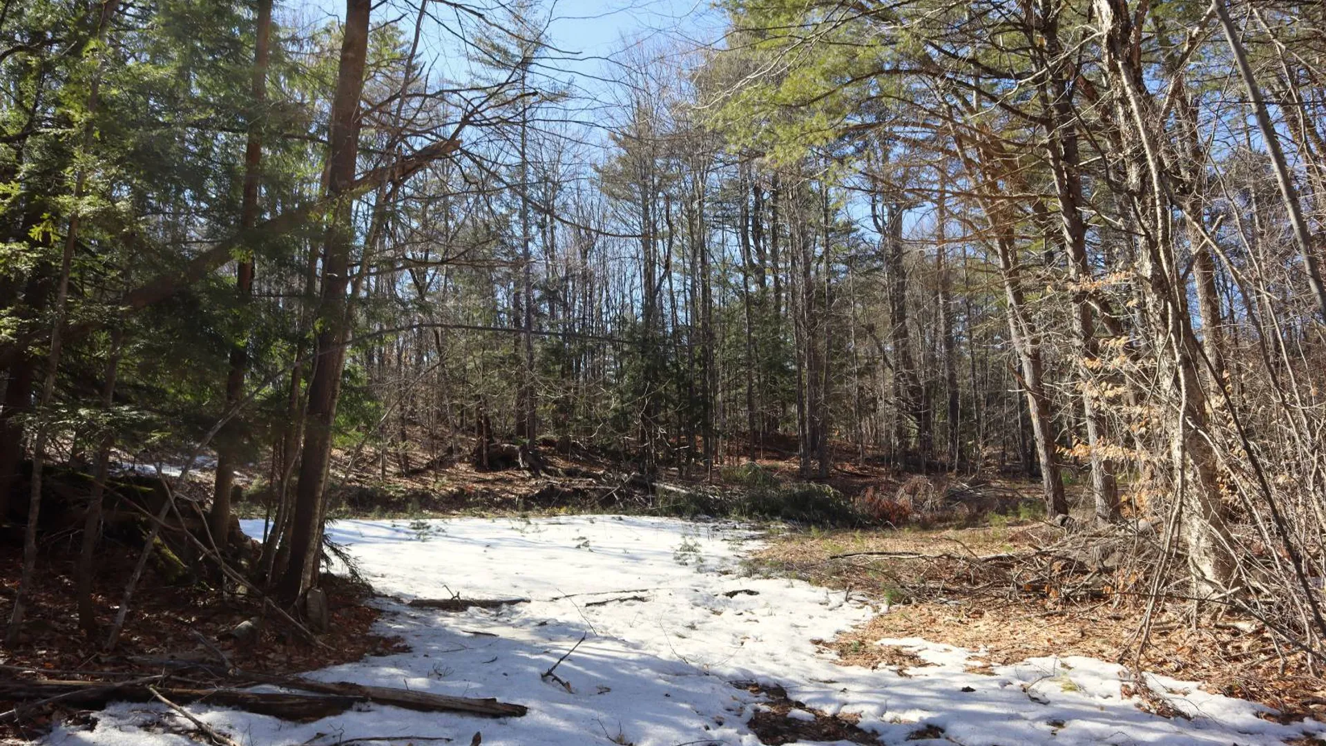 Property at 0 Bear Pond Rd, Thurman, NY 12810 2