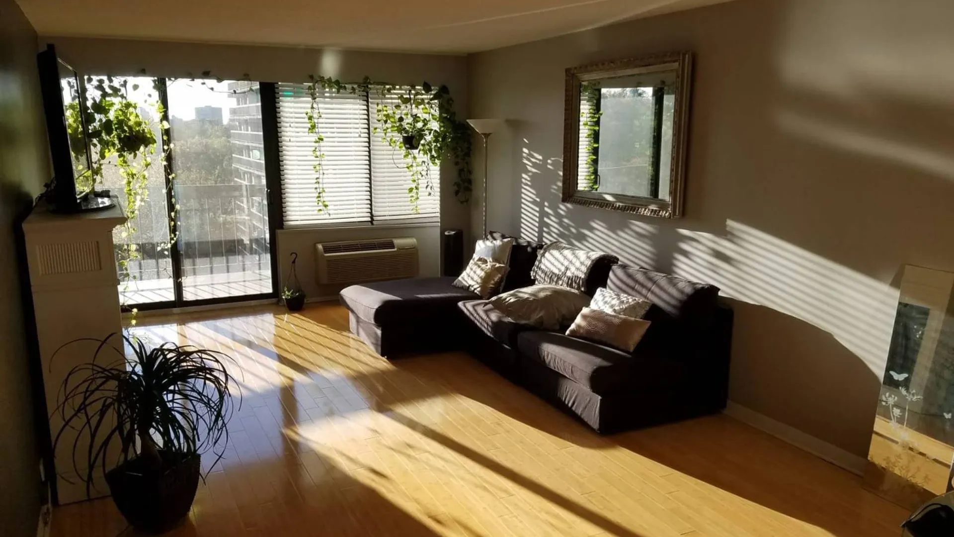 Property at 152-18 Union Turnpike, Flushing, NY 11367 4