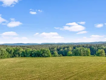 Property at 137 Stone Ridge Dr, Charlotteville, NY 12036