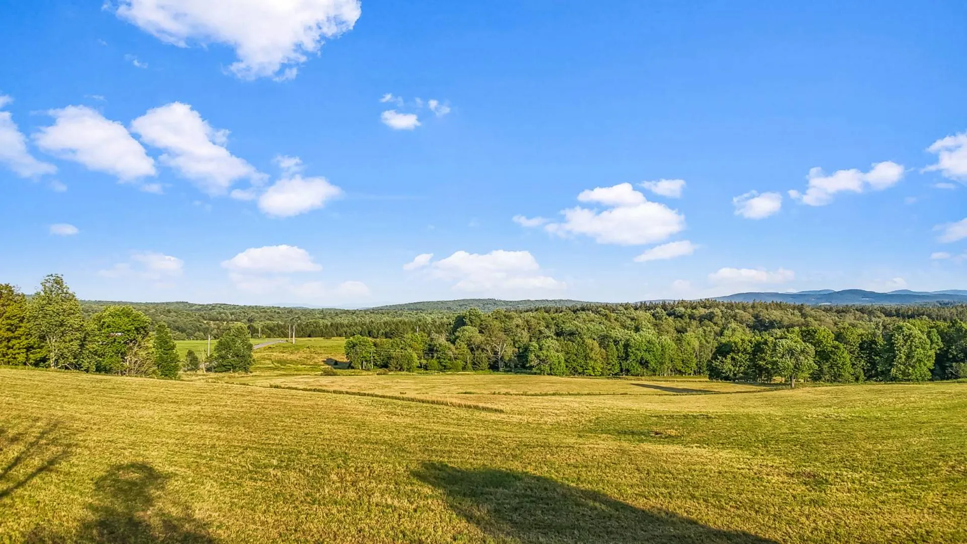 Property at 137 Stone Ridge Dr, Charlotteville, NY 12036 6