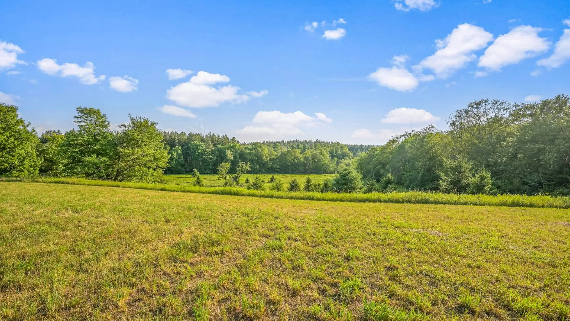 Property at 137 Stone Ridge Dr, Charlotteville, NY 12036 7