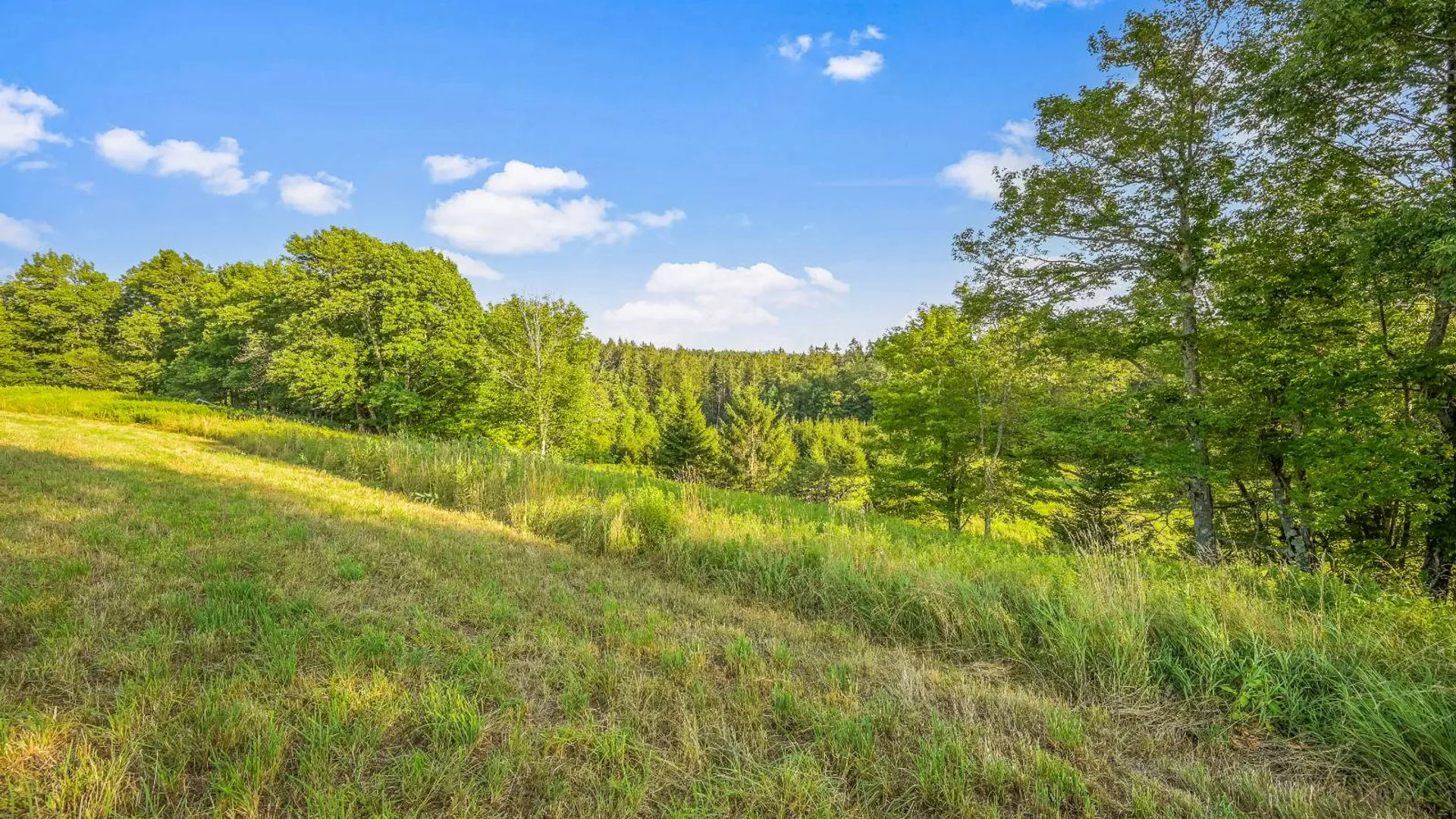 Property at 137 Stone Ridge Dr, Charlotteville, NY 12036 14