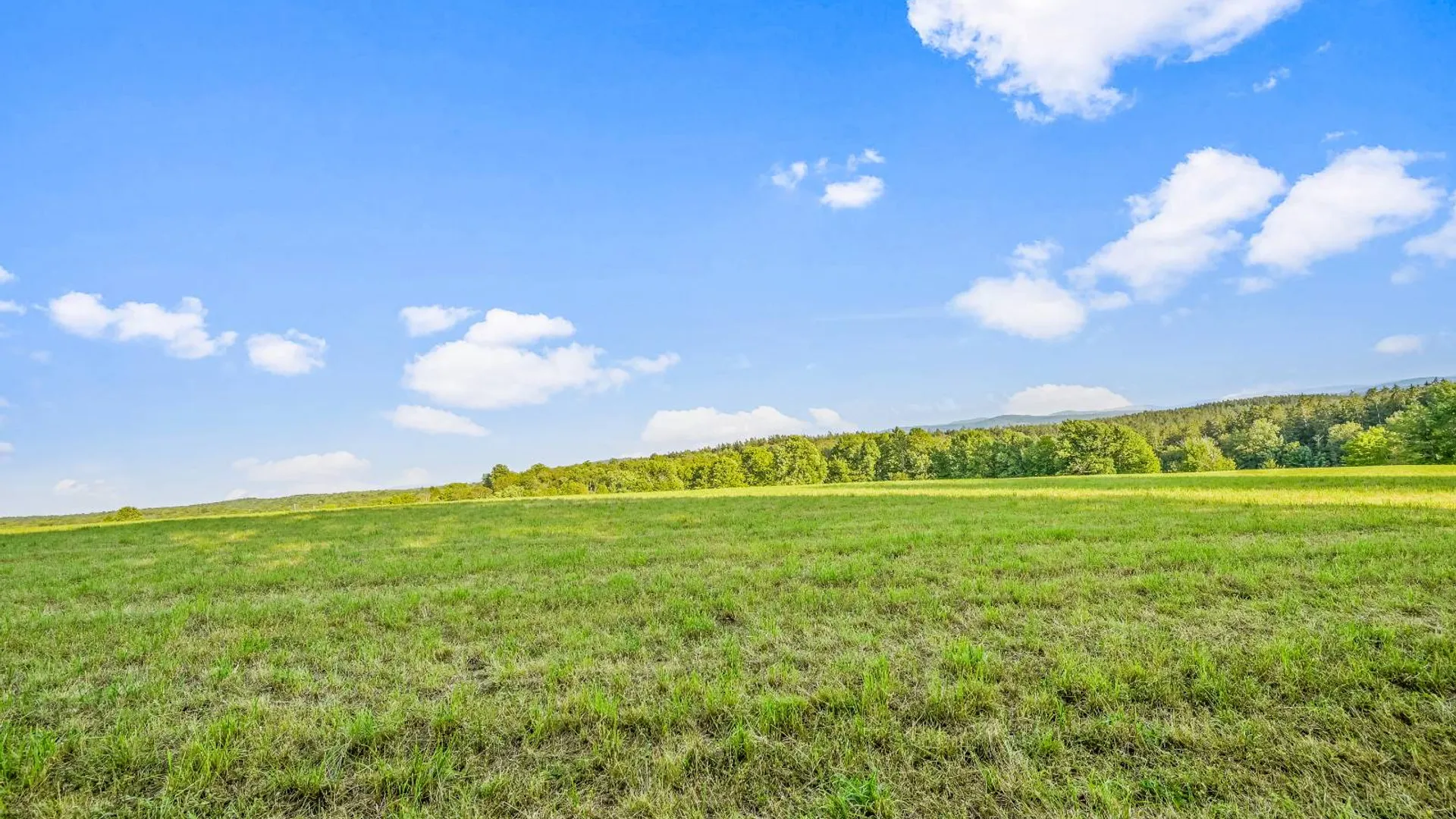 Property at 137 Stone Ridge Dr, Charlotteville, NY 12036 20