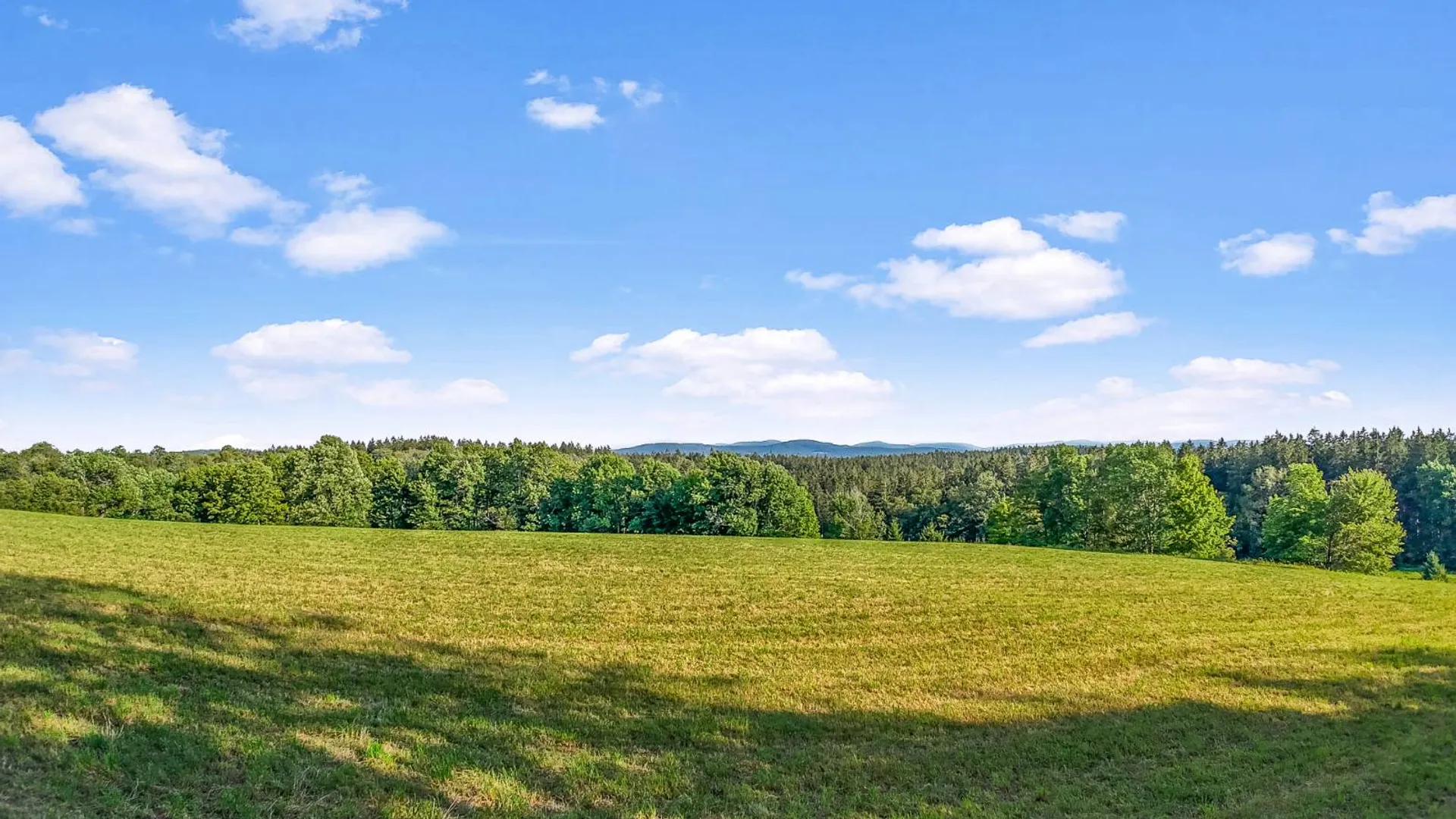 Property at 137 Stone Ridge Dr, Charlotteville, NY 12036 29