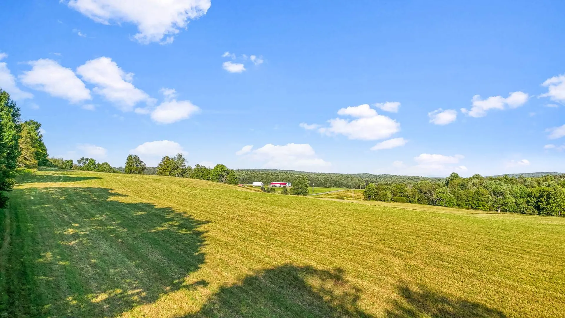 Property at 137 Stone Ridge Dr, Charlotteville, NY 12036 31