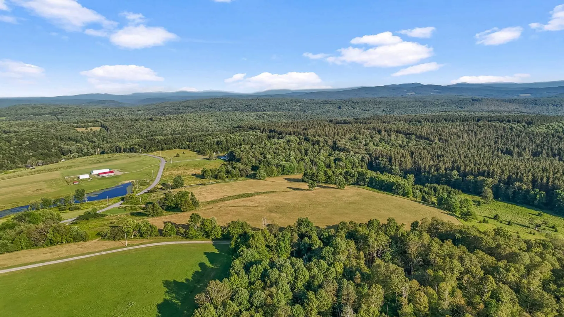 Property at 137 Stone Ridge Dr, Charlotteville, NY 12036 39