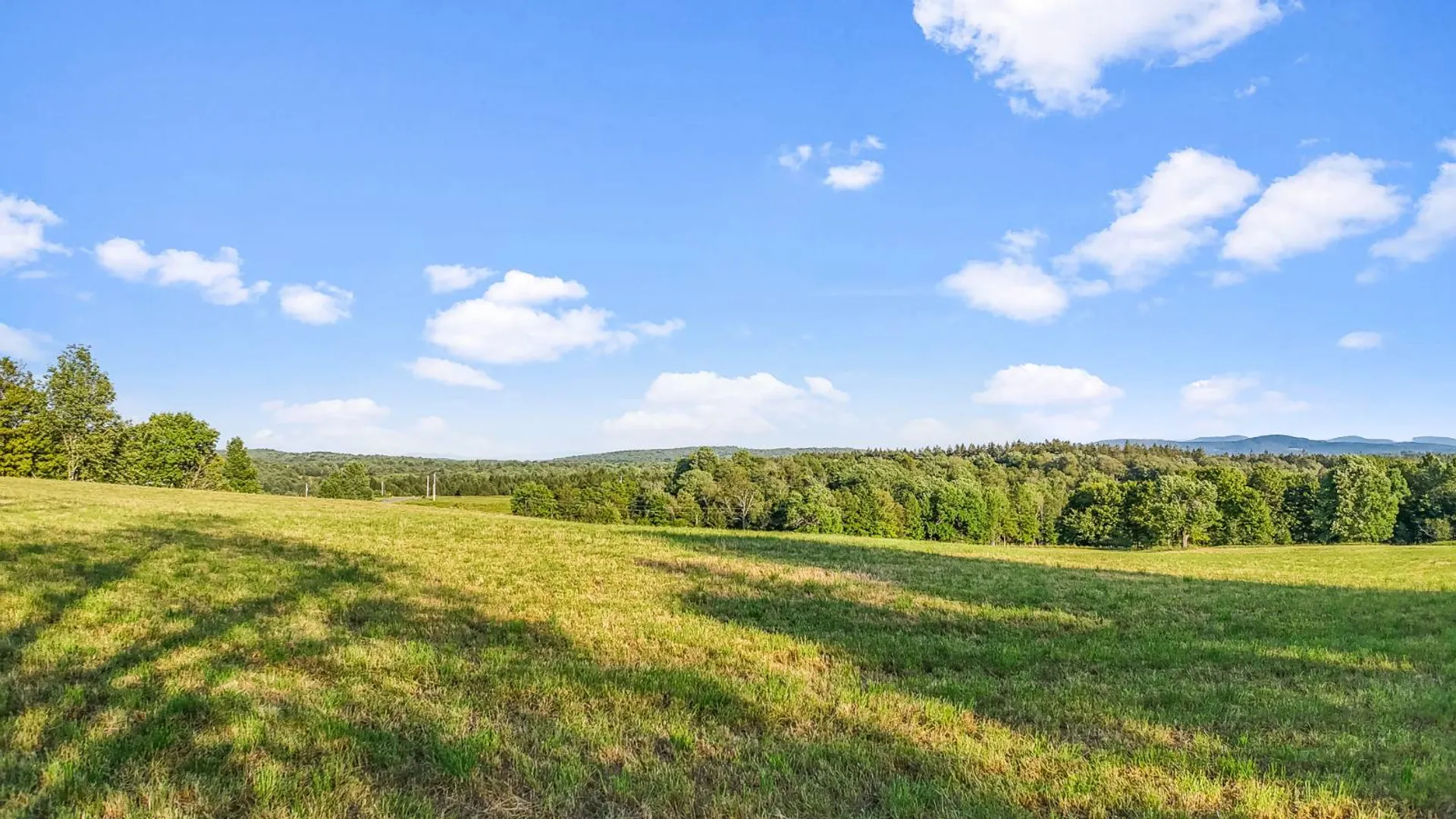Property at 137 Stone Ridge Dr, Charlotteville, NY 12036 40