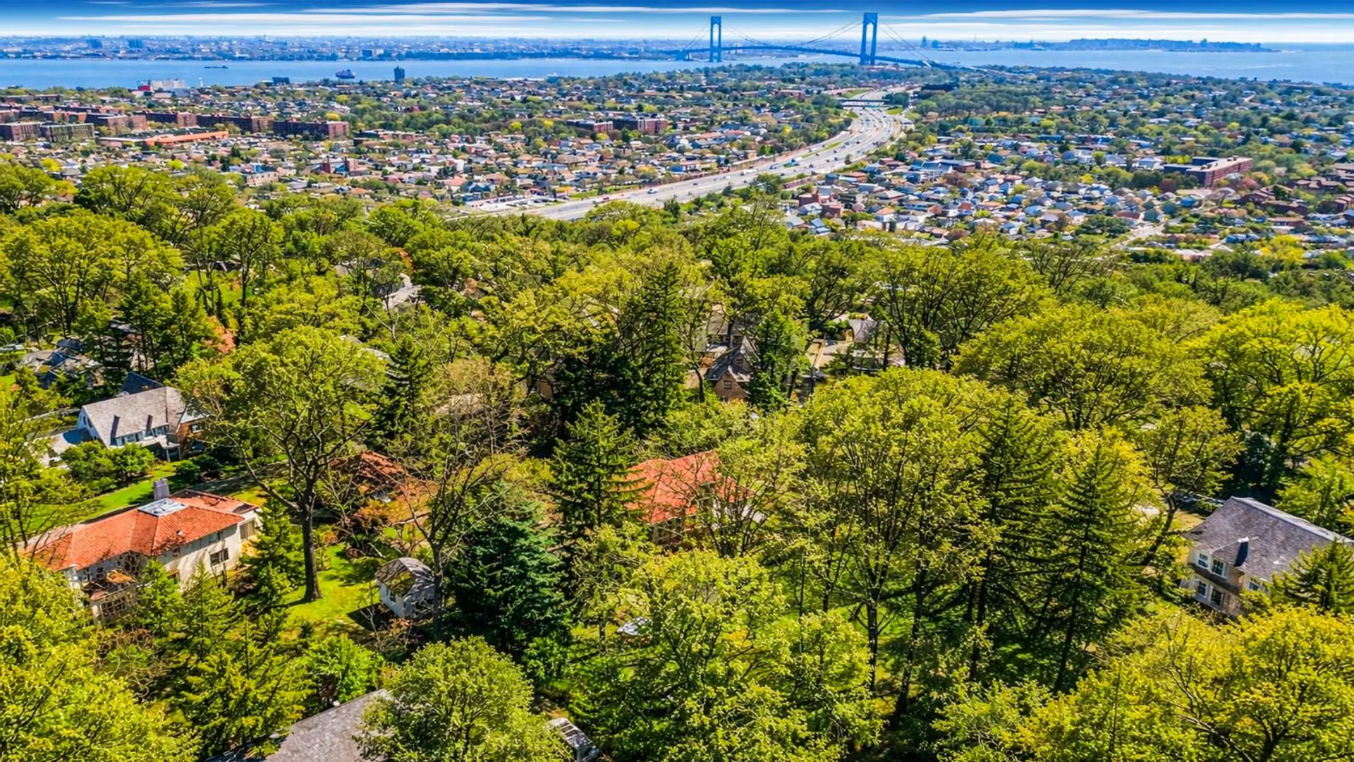 Property at 231 Douglas Road, Staten Island, NY 10304 9