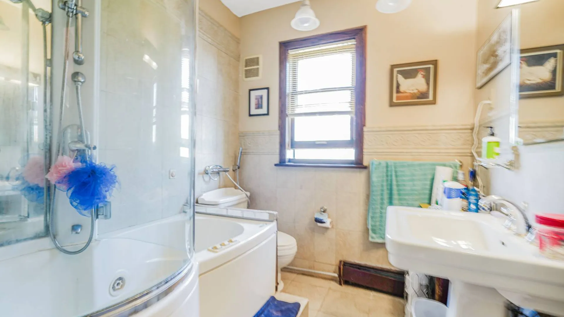Property at 231 Douglas Road, Staten Island, NY 10304 43