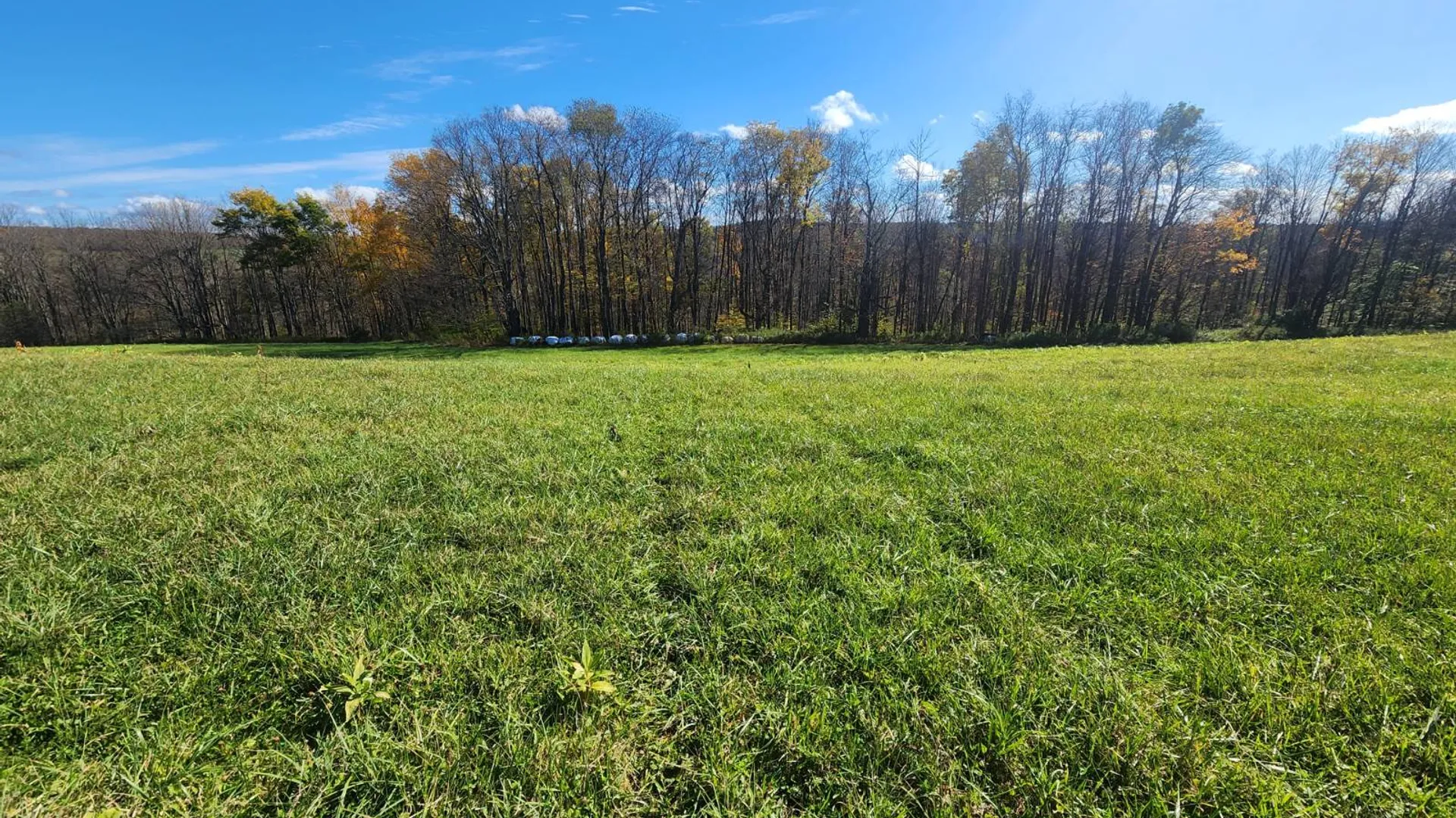 Property at 000 Hoffman Road, Guilford, NY 13780 2