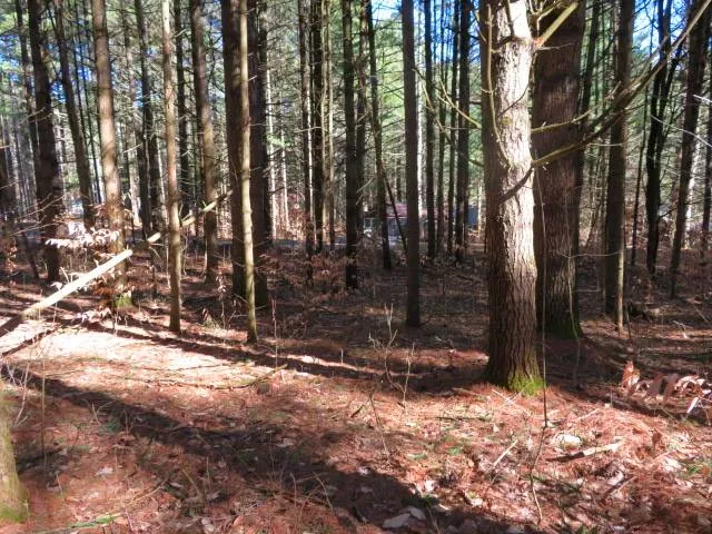 Property at 0 MCPHILMY RD, Glenfield, NY 13343