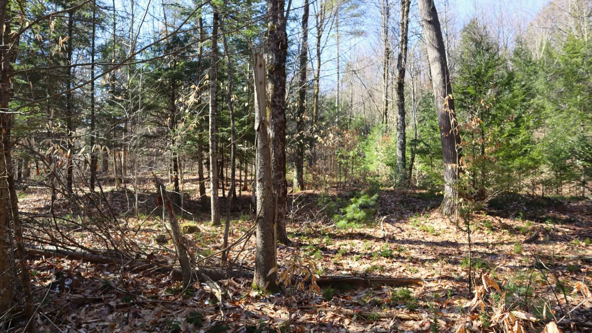 Property at 825 Glen-Athol Rd, Warrensburg, NY 12885 62