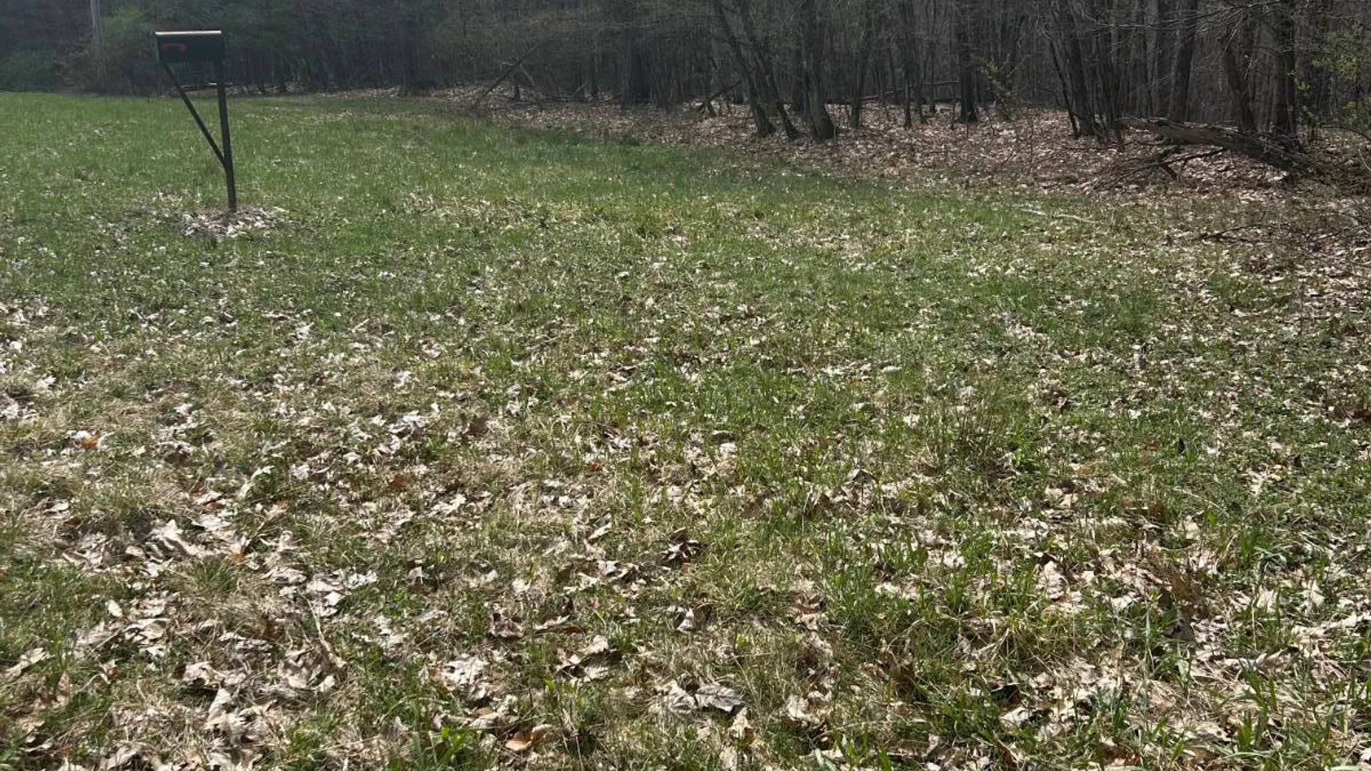 Property at 955 Woodland Rd, Sidney Center, NY 13839 3