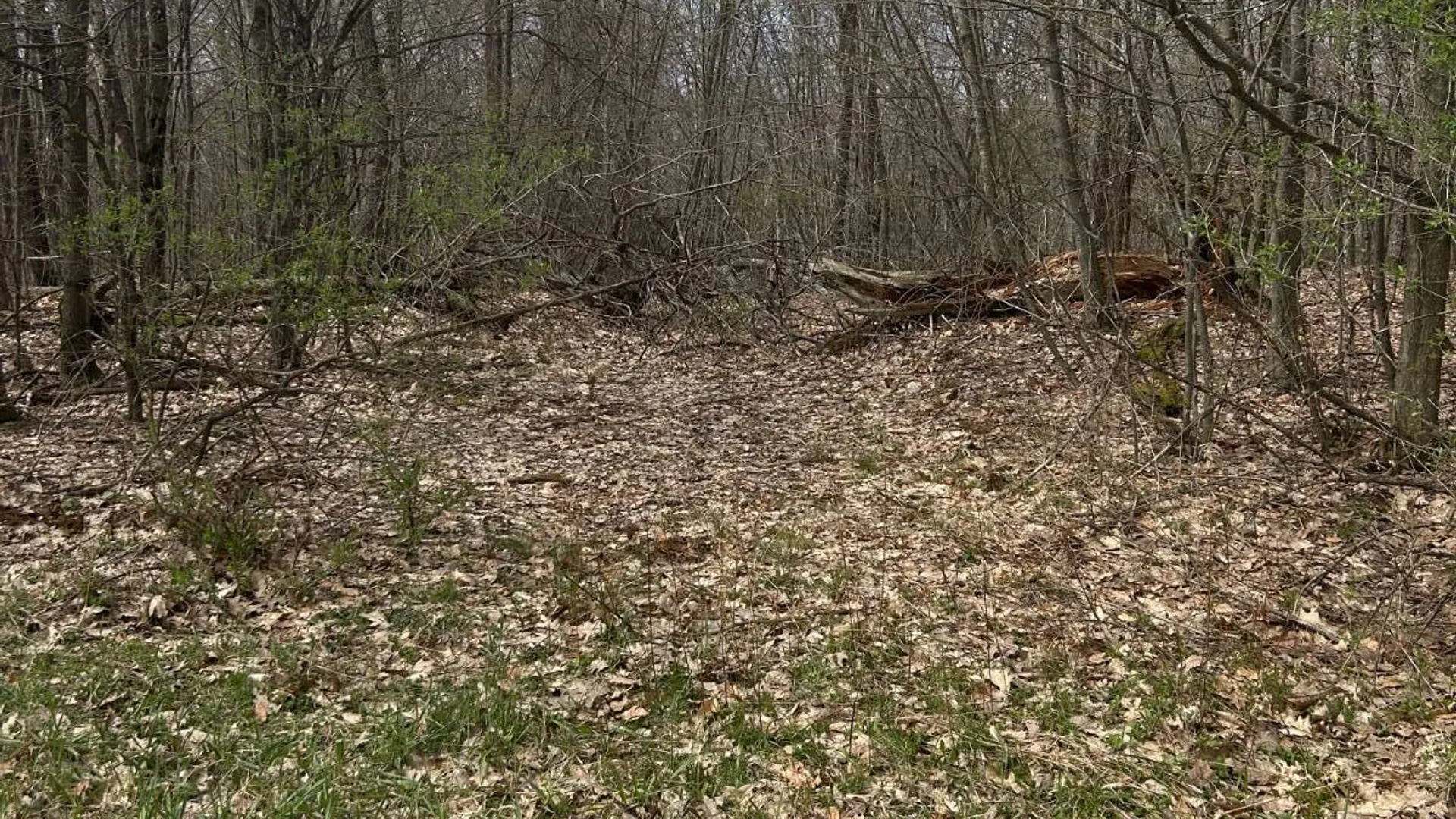 Property at 955 Woodland Rd, Sidney Center, NY 13839 5