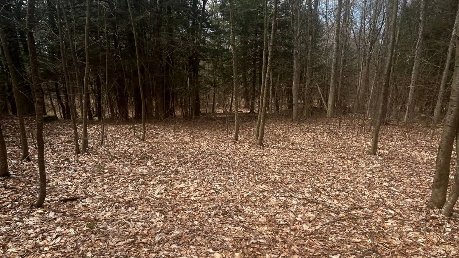 Property at 955 Woodland Rd, Sidney Center, NY 13839 7