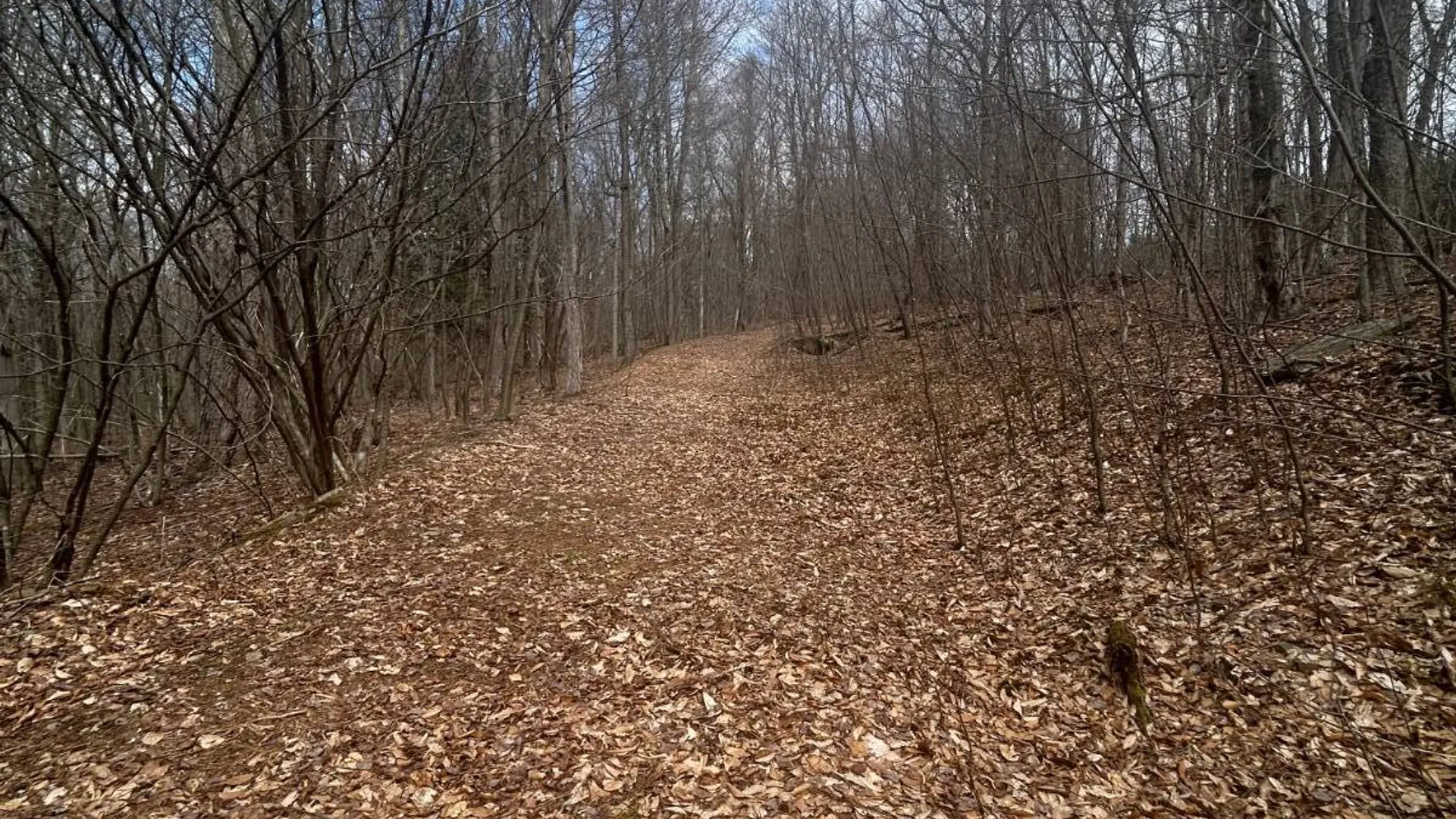 Property at 955 Woodland Rd, Sidney Center, NY 13839 9