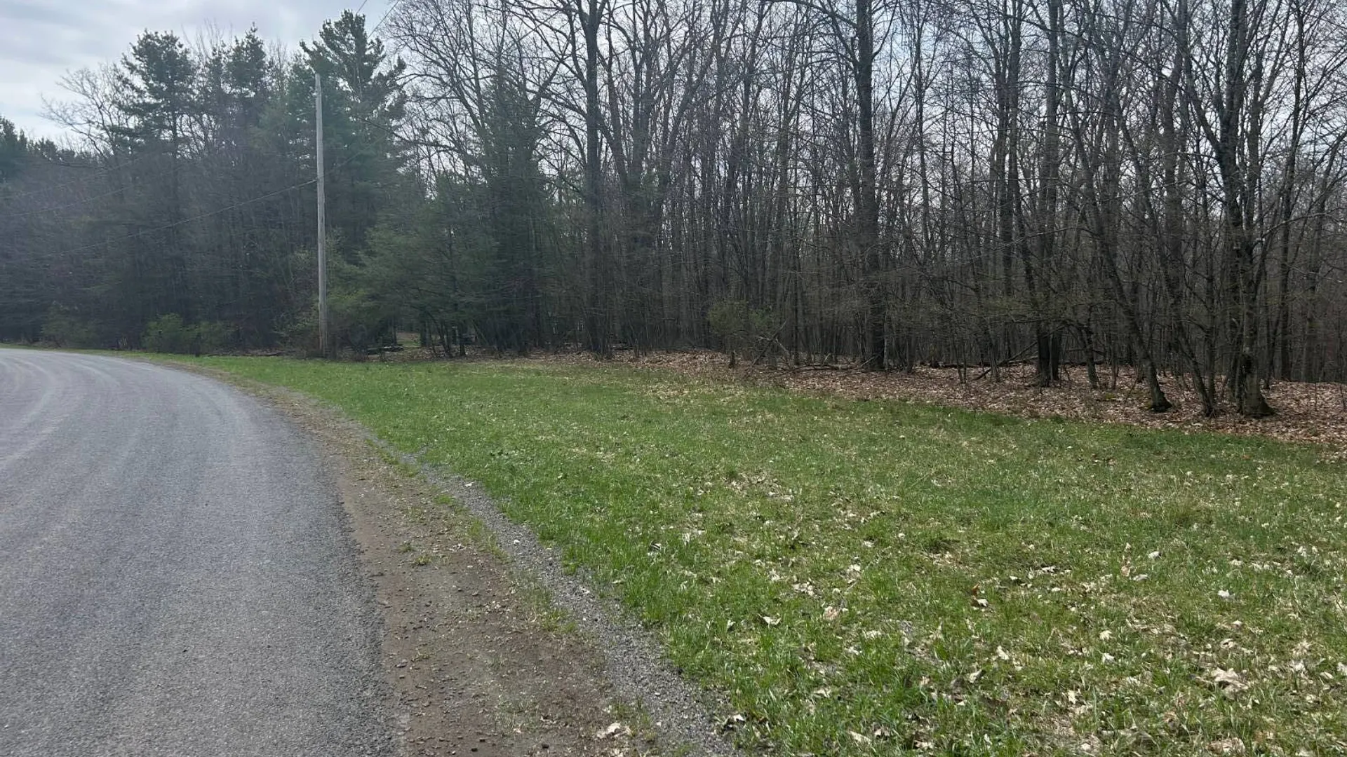 Property at 955 Woodland Rd, Sidney Center, NY 13839 4