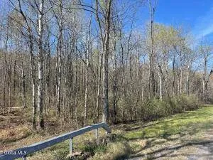 Property at Lot #26 Highway Route 20, Sharon Springs, NY 13459
