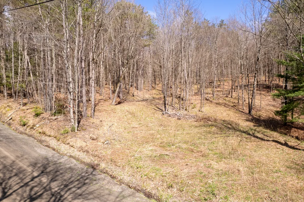 Property at 24 Walker Rd, Nineveh, NY 13813