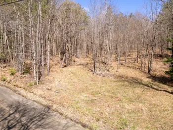 Property at 24 Walker Rd, Nineveh, NY 13813