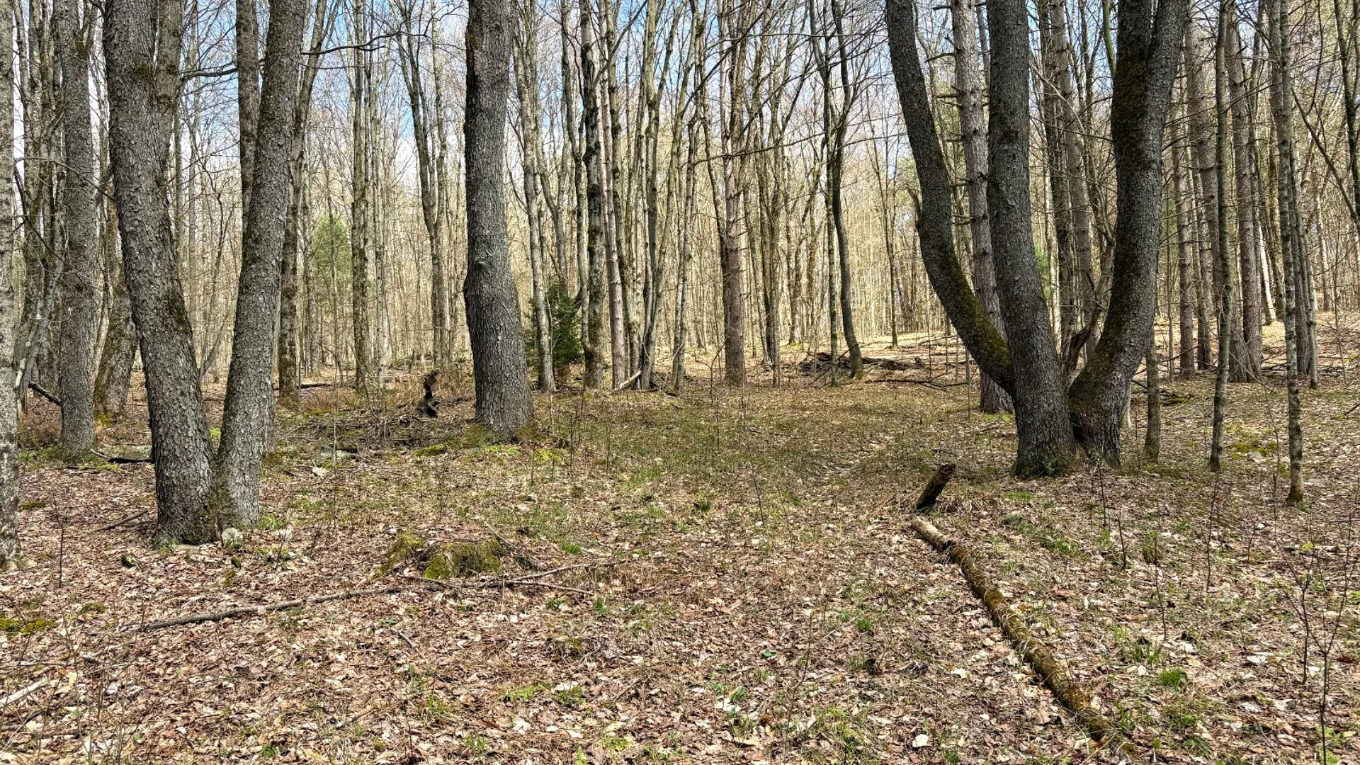 Property at 24 Walker Rd, Nineveh, NY 13813 12
