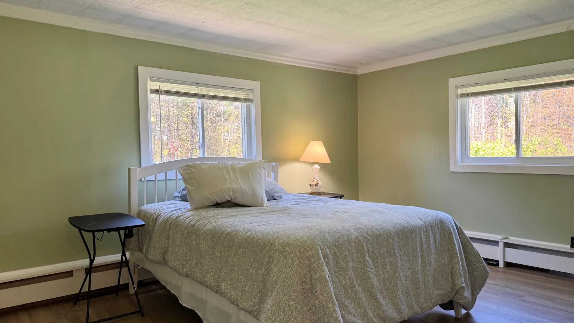 Property at 366 Old Route 23, Cairo, NY 12413 9