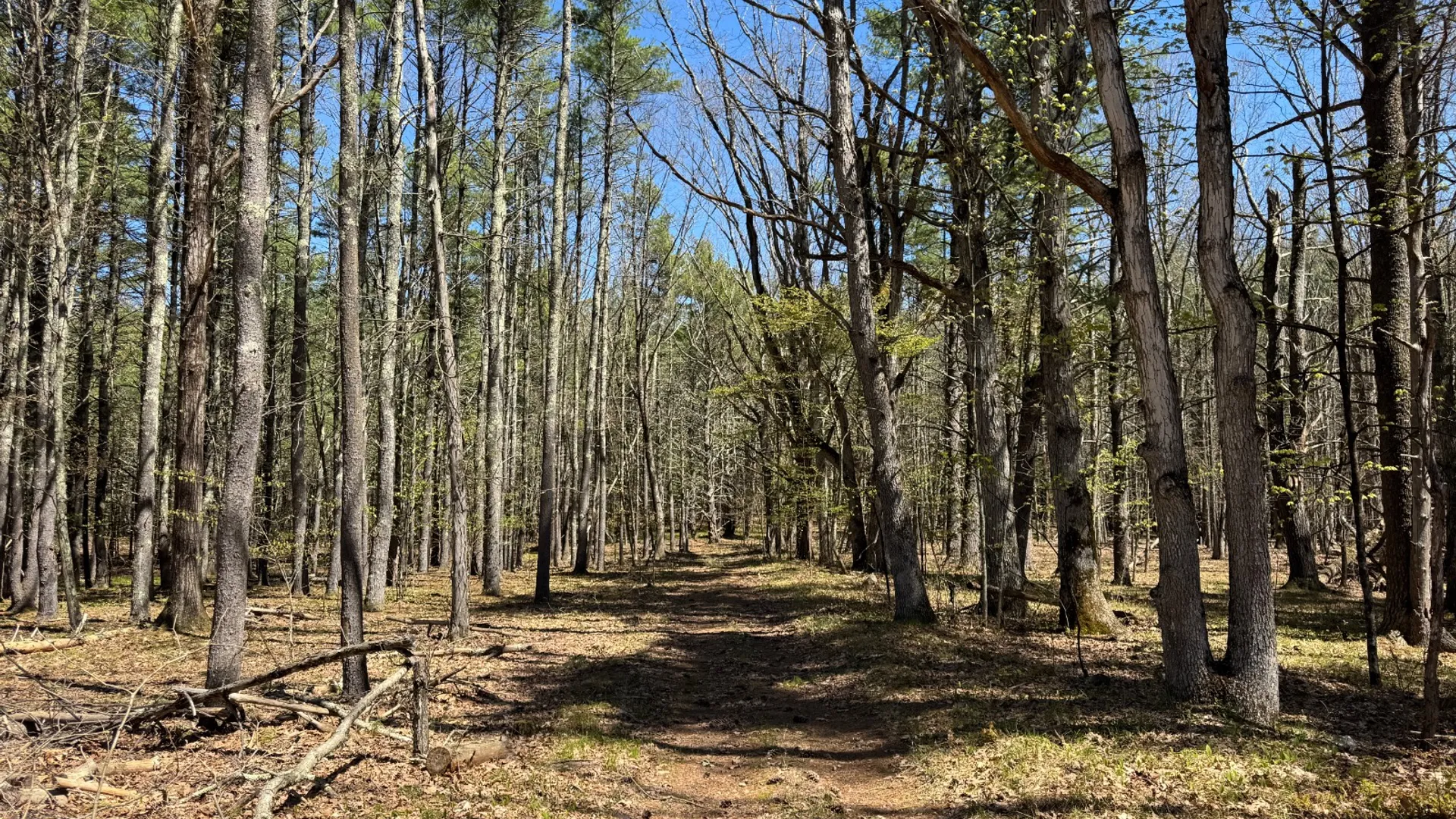 Property at 366 Old Route 23, Cairo, NY 12413 21