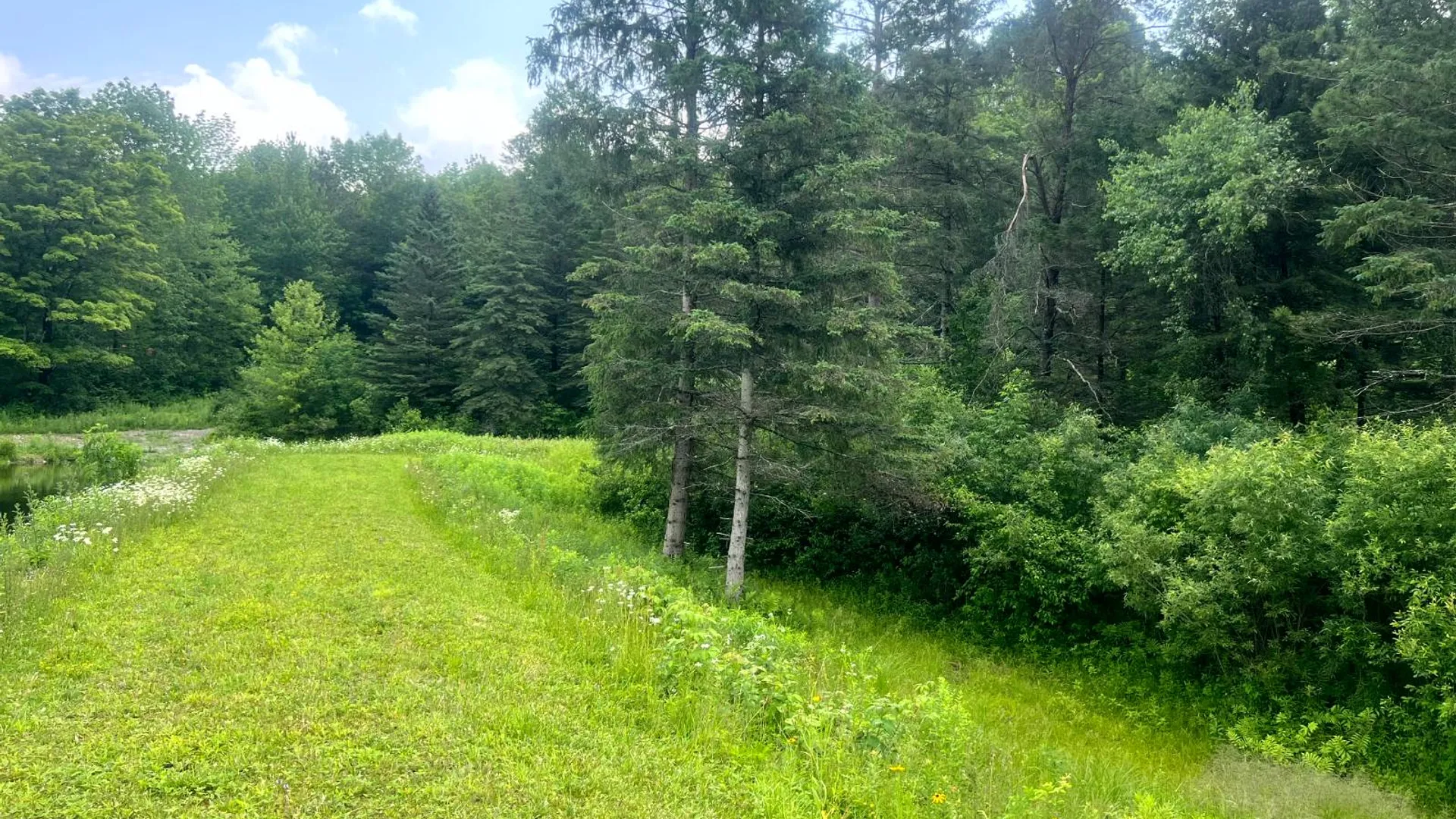 Property at 597 Bliven-Coye Hill Rd, Smyrna, NY 13464 9