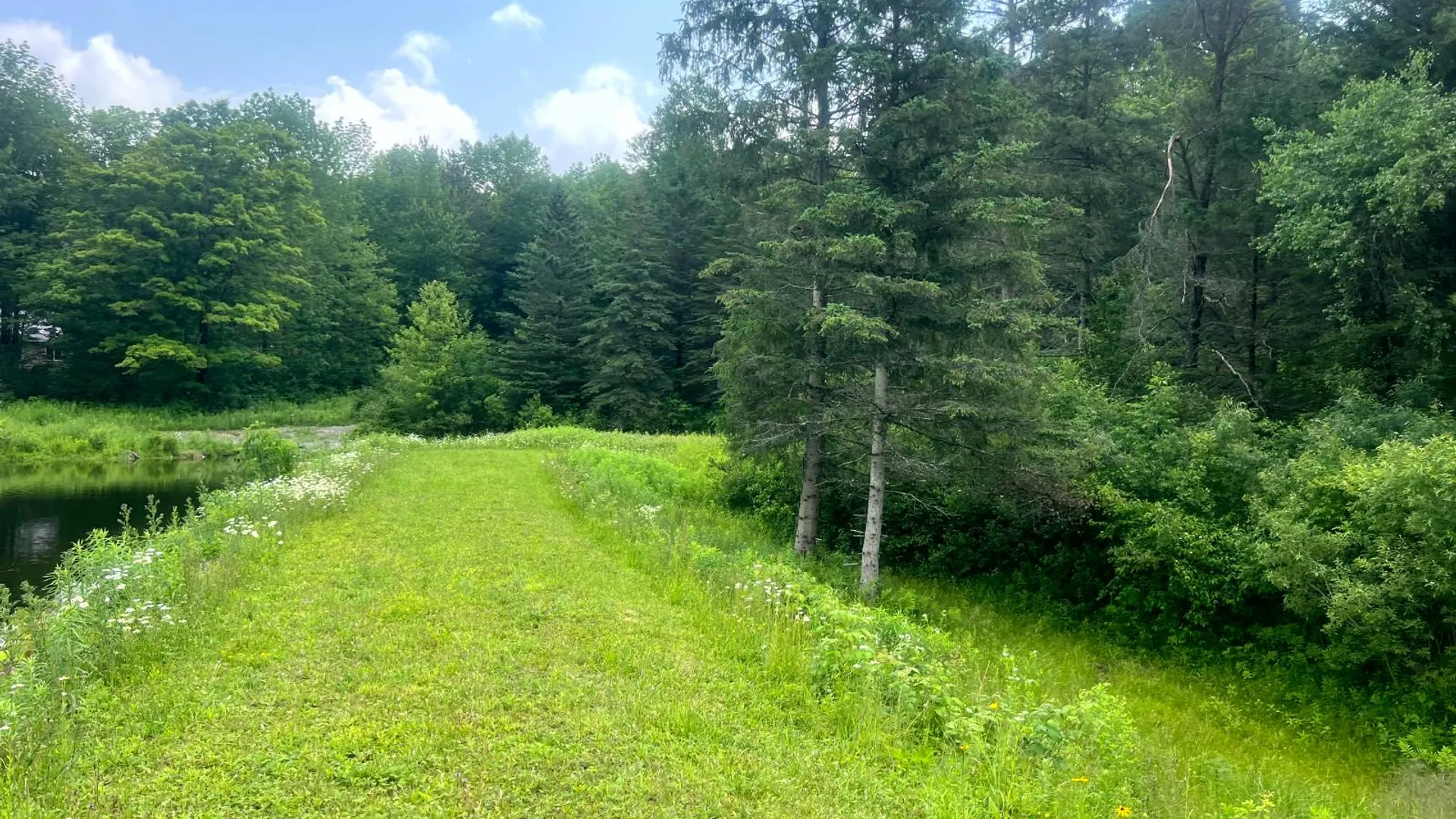 Property at 597 Bliven-Coye Hill Rd, Smyrna, NY 13464 11