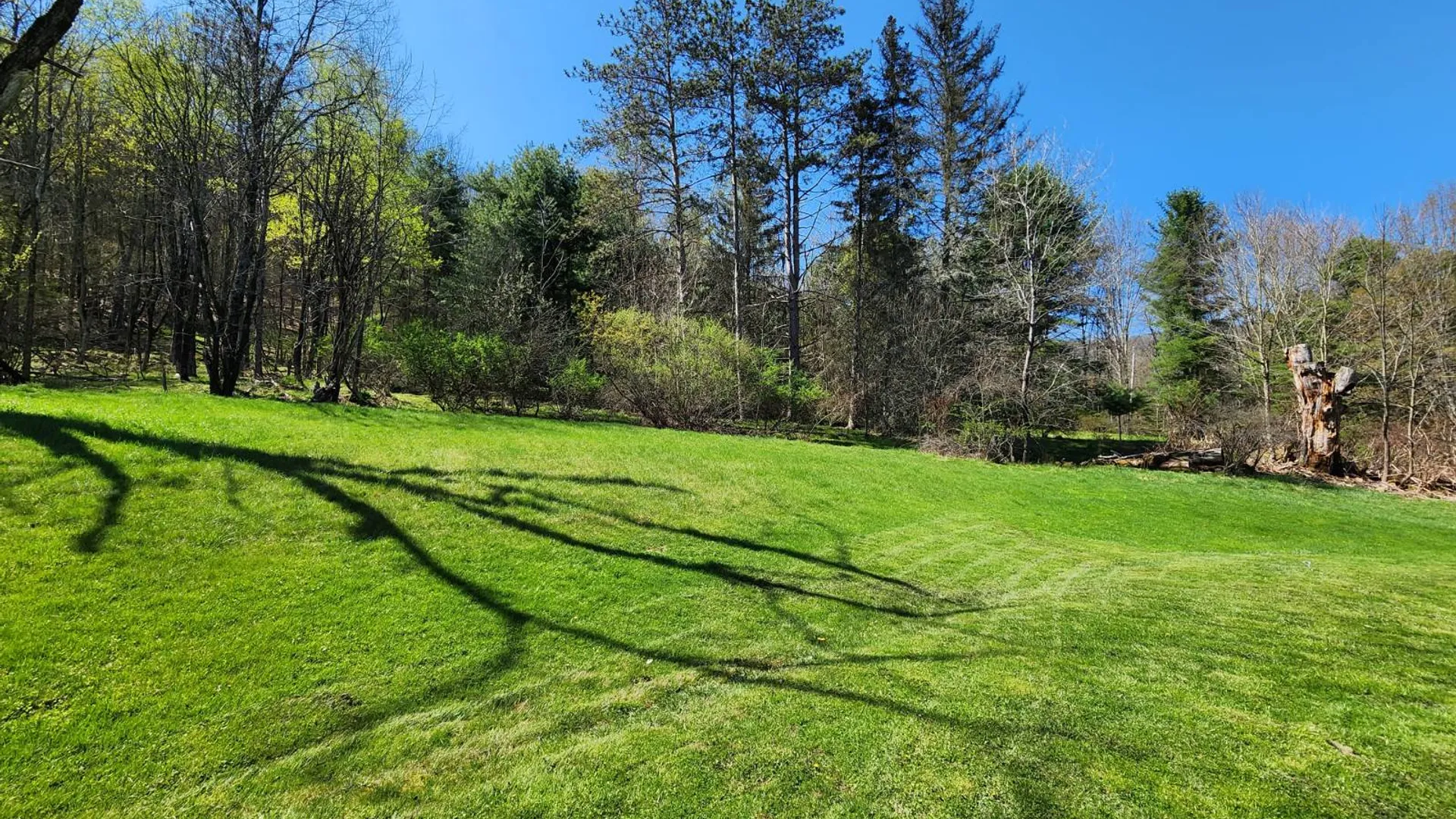 Property at 949 Streeter Brook Rd, Little Genesee, NY 14754 69